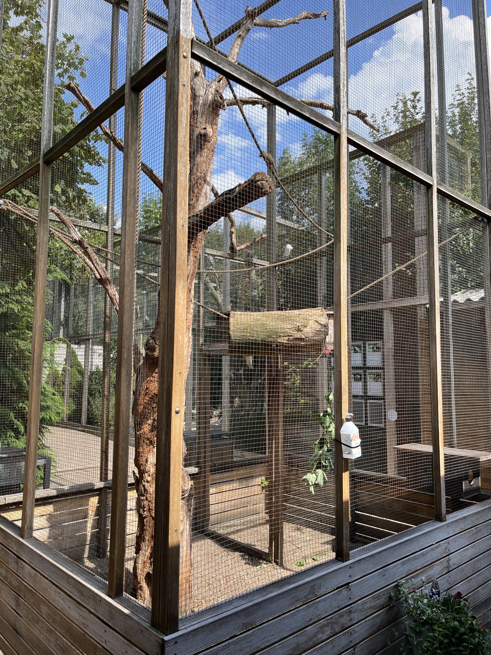 Swinhoe’s Striped Squirrel Exhibit