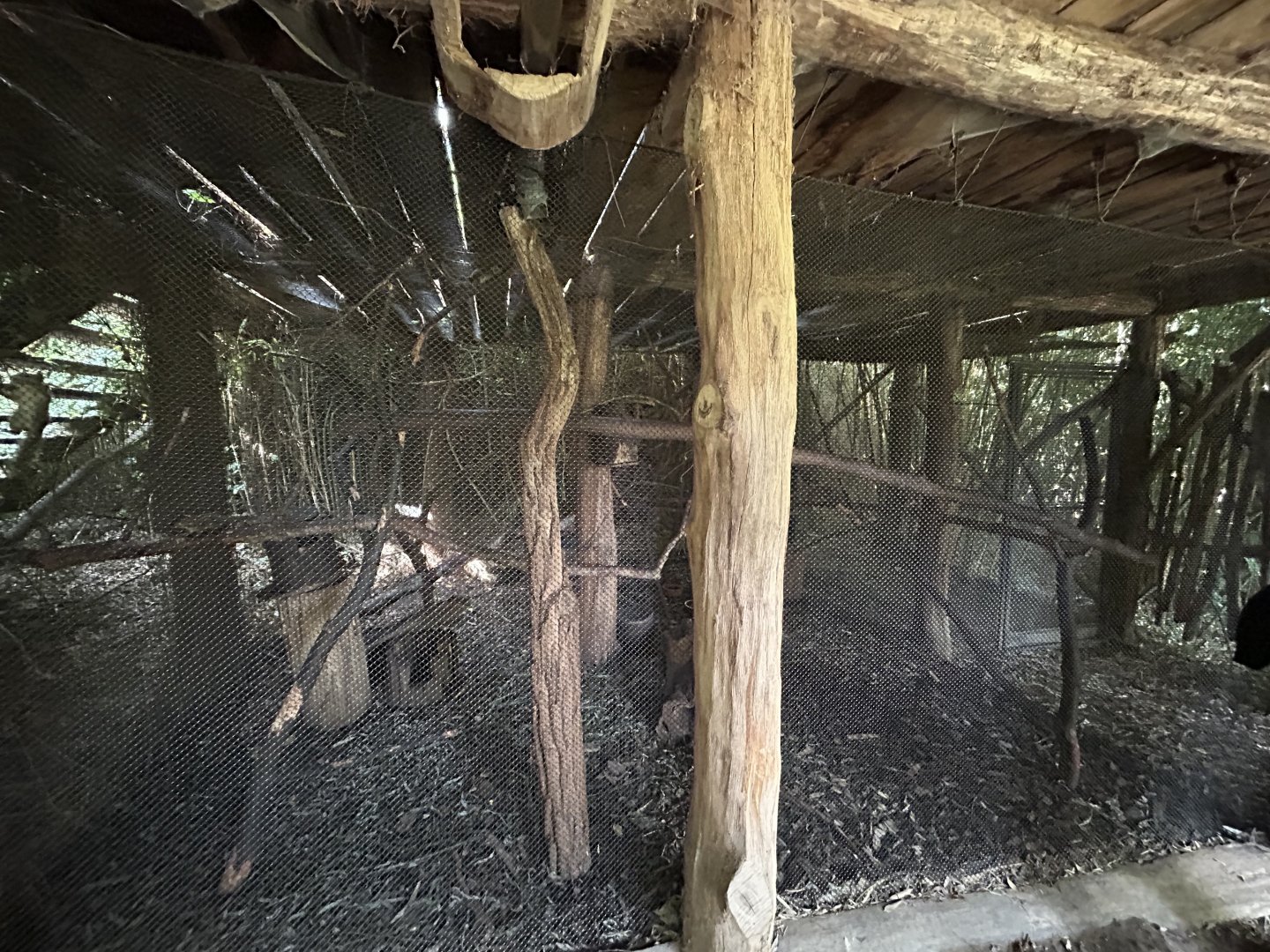 Swinhoe’s Striped Squirrel Exhibit