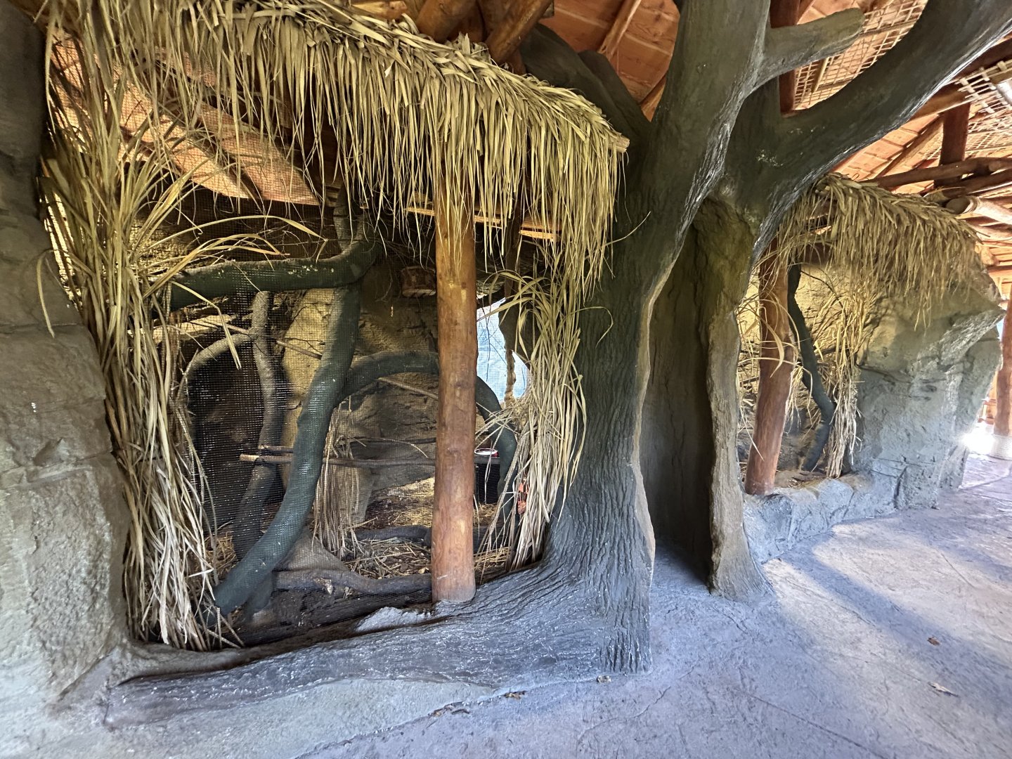 Swinhoe’s Striped Squirrel Exhibit