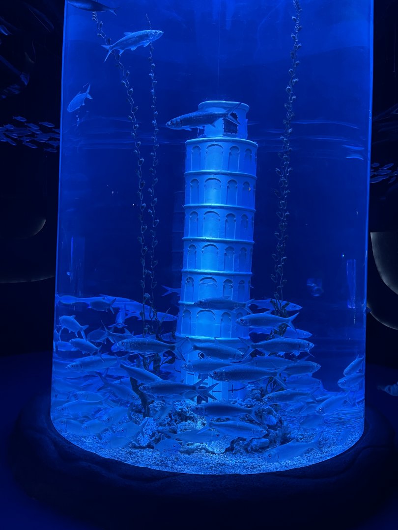 swirl tank + pisa tower