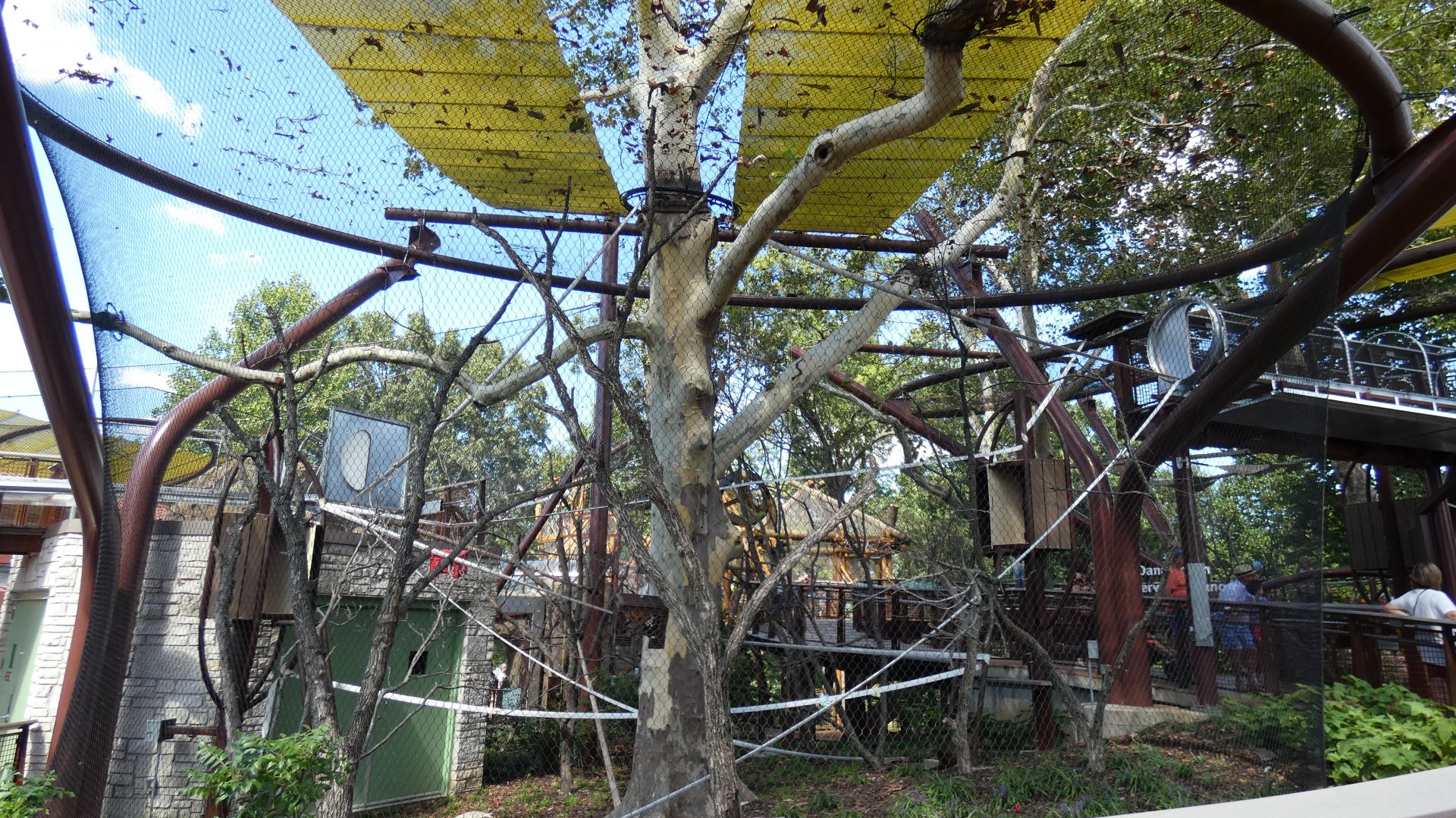 Sycamore Sanctuary (Rotational), Primate Canopy Trails  - Sep. 2021