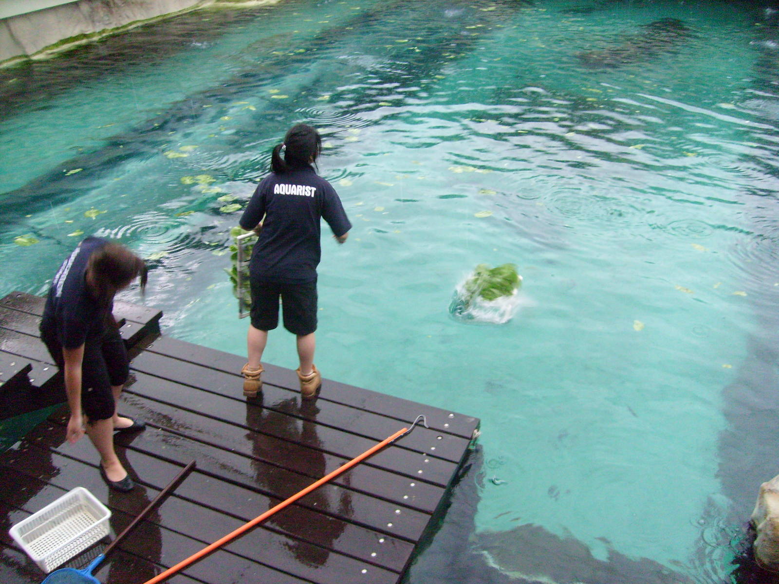 Sydney Aquarium 13/02/09