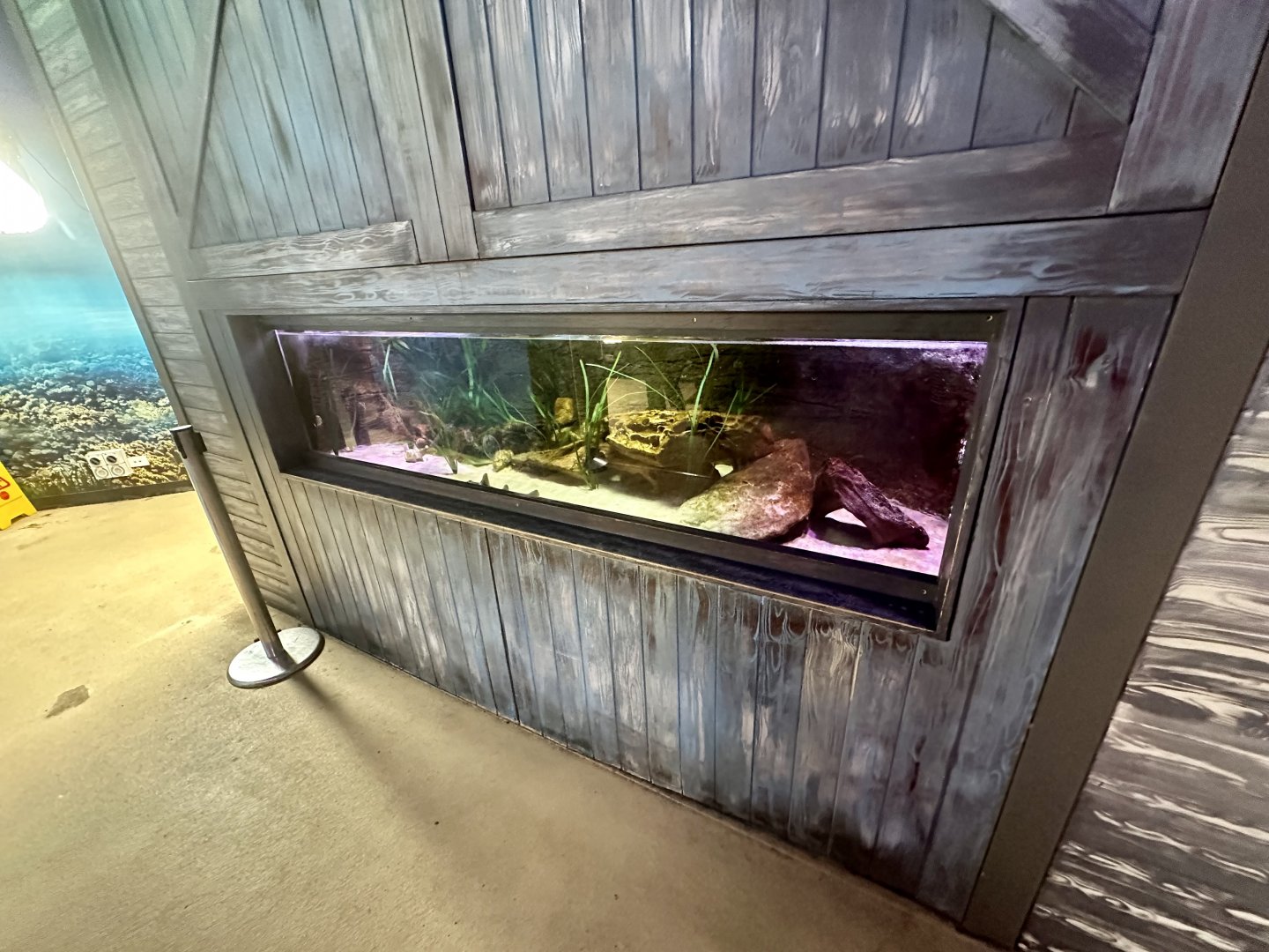 Sydney Harbour Exhibit