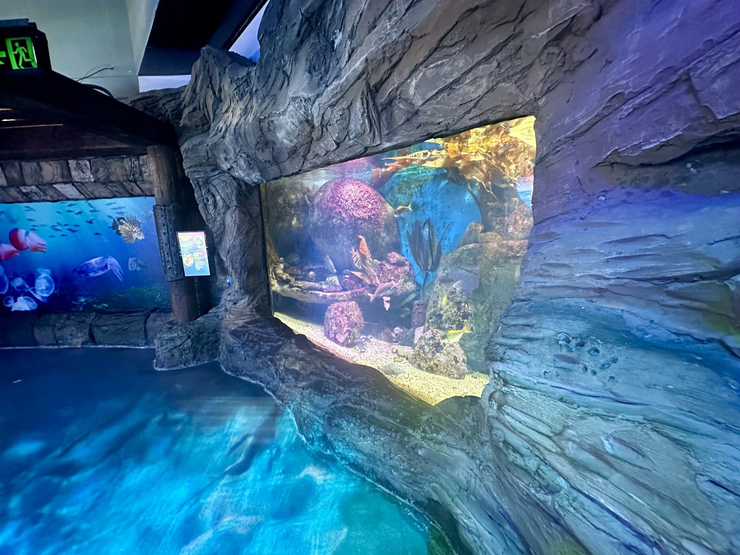 Sydney Harbour Exhibit