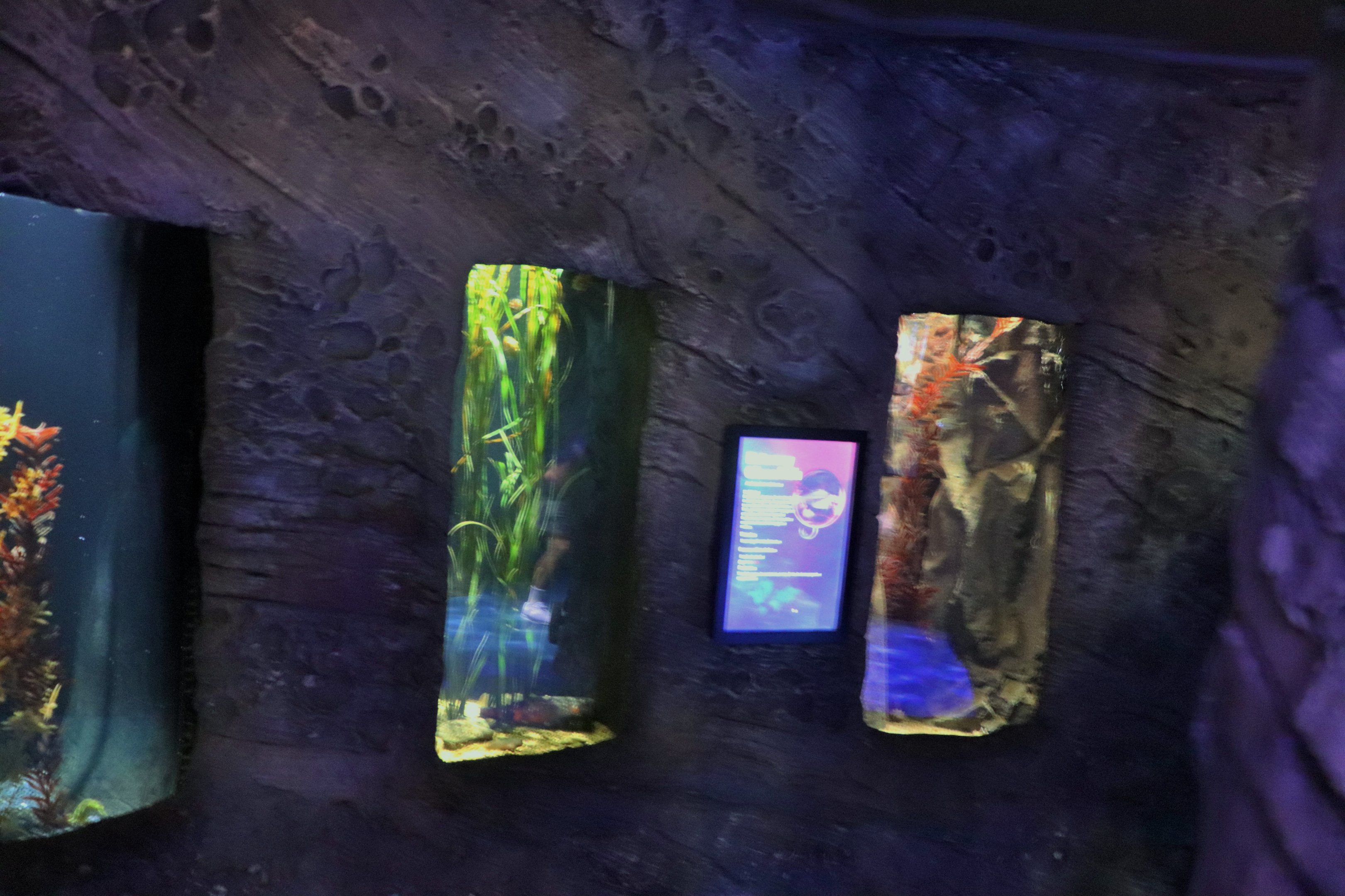 Sydney Harbour- Tank Examples