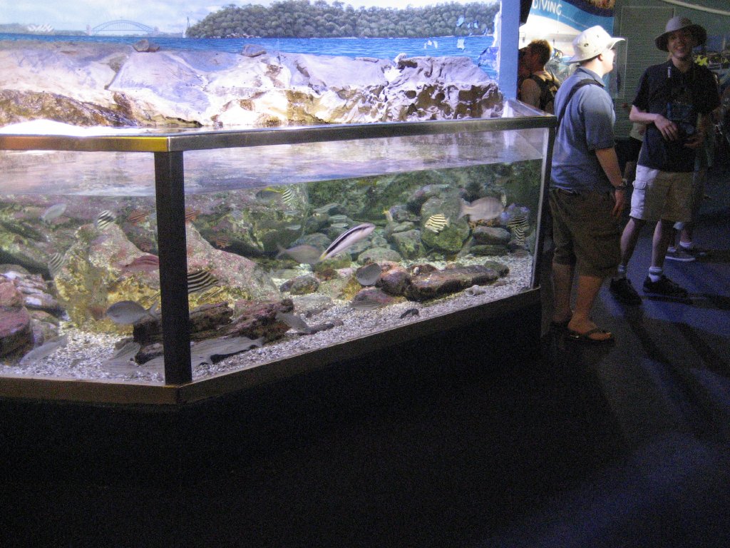 Sydney Harbour Tank