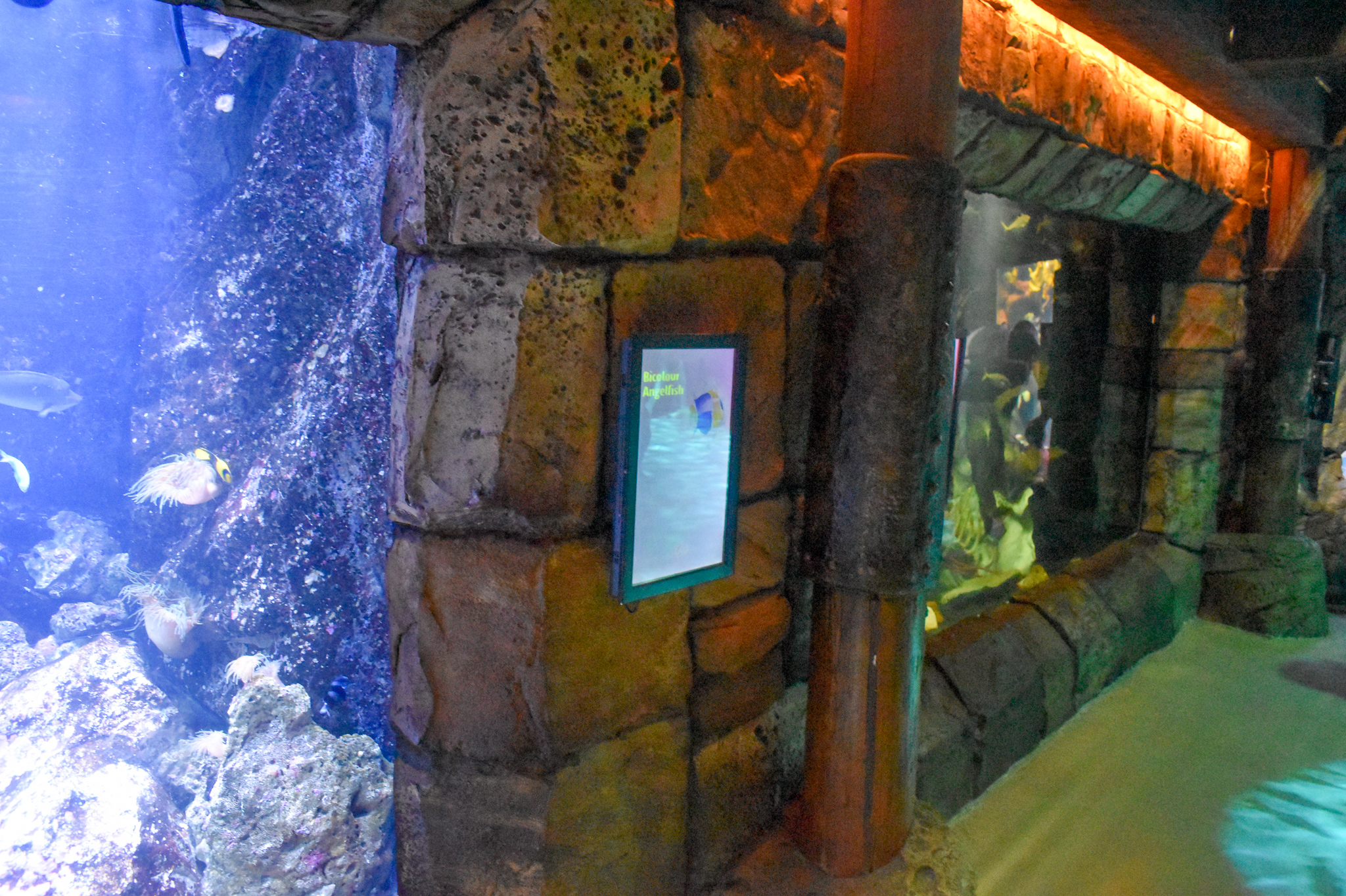 Sydney Harbour Tanks