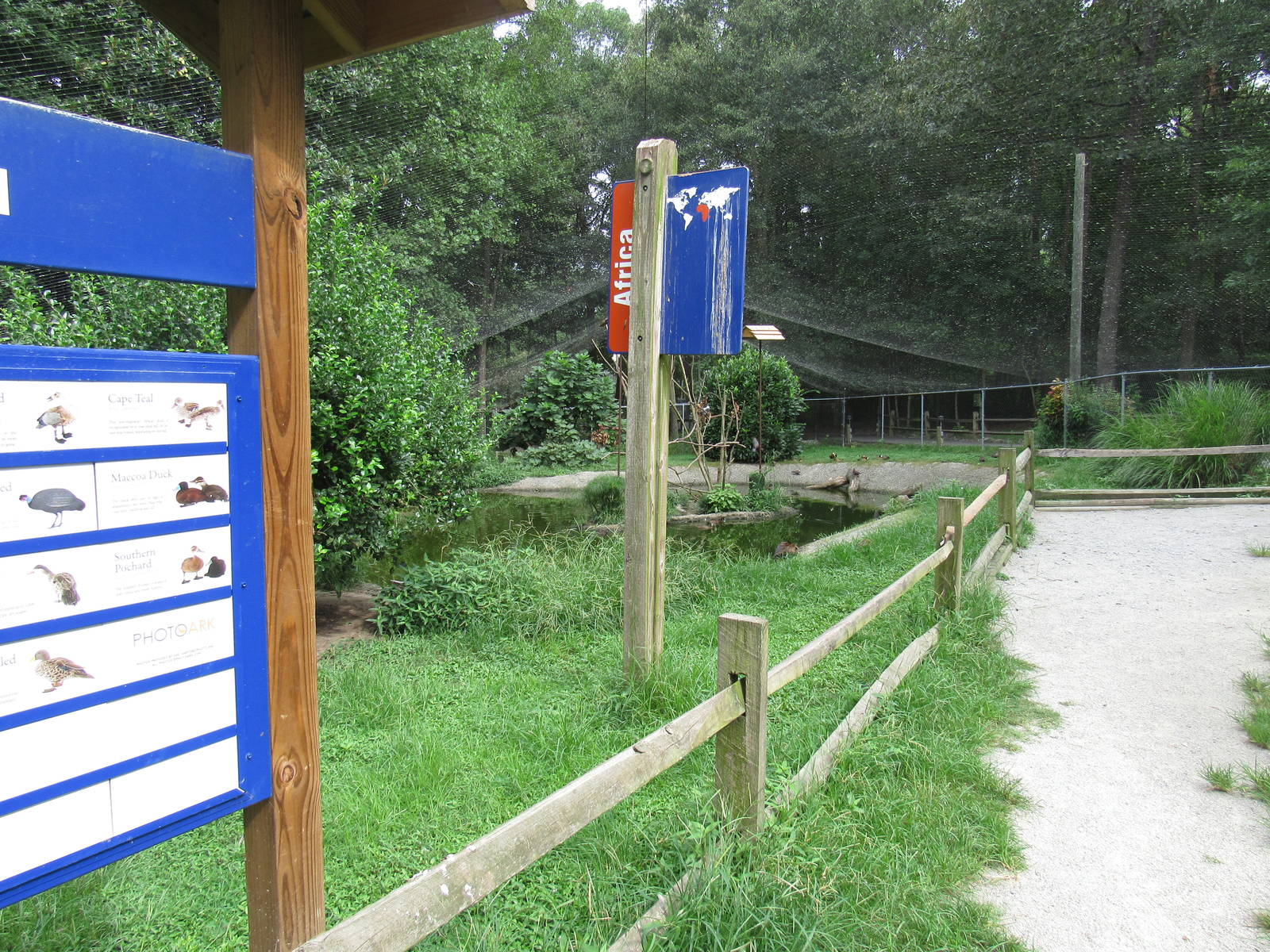 Sylvan Heights Bird Park- African Aviary Overview