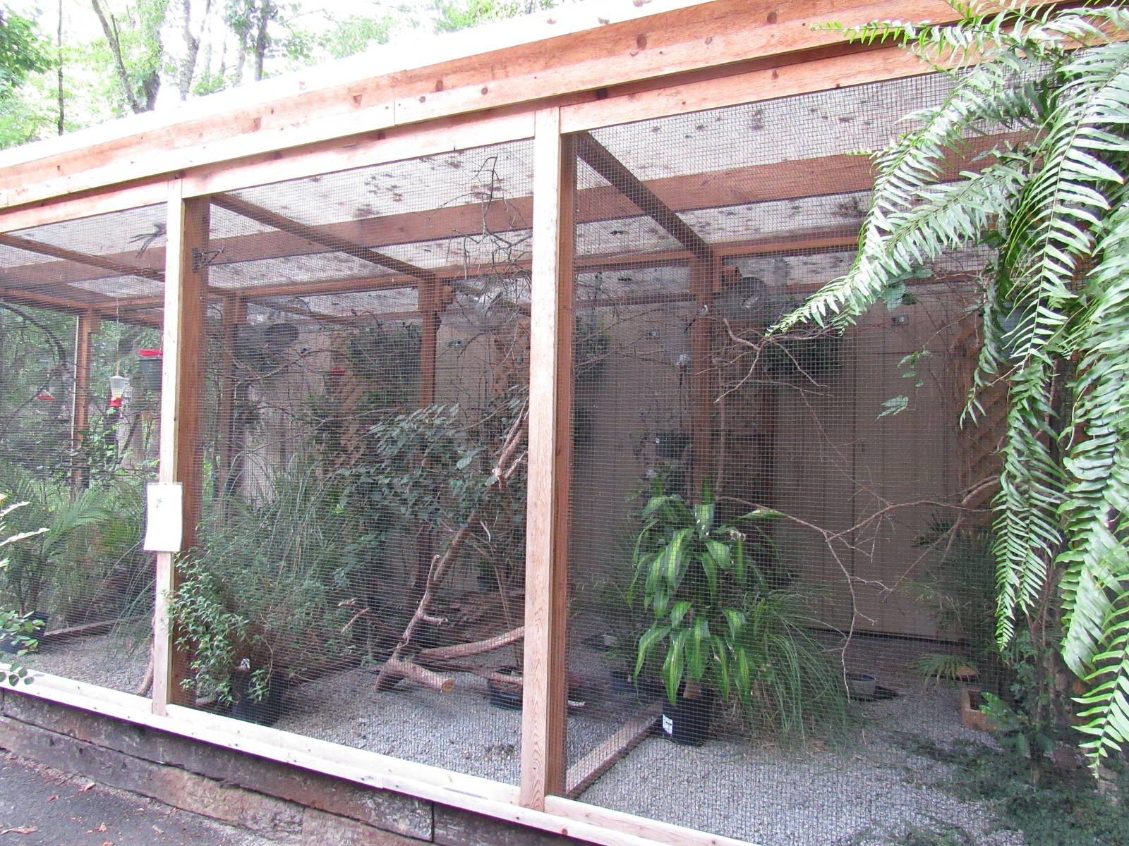 Sylvan Heights Bird Park- African Finches Exhibit