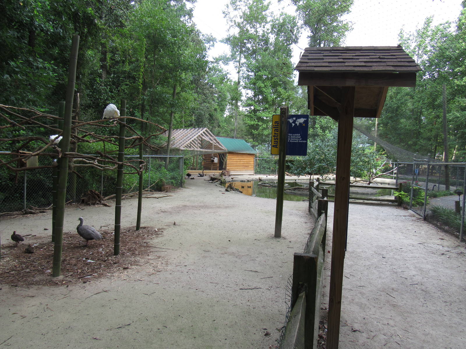 Sylvan Heights Bird Park- Australia Aviary Overview