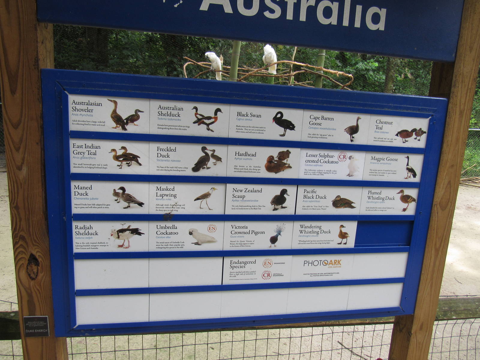 Sylvan Heights Bird Park- Australia Aviary Species List
