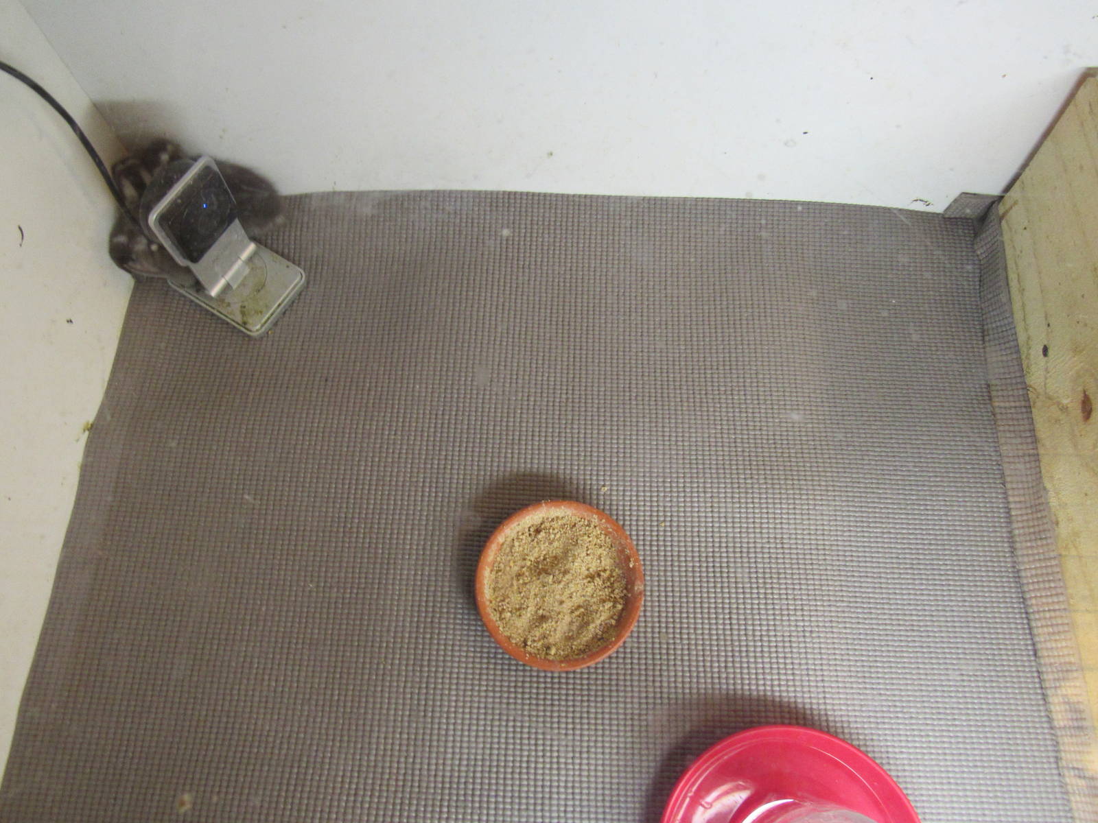 Sylvan Heights Bird Park- Entrance Building- Hatch-of-the-Day Exhibit