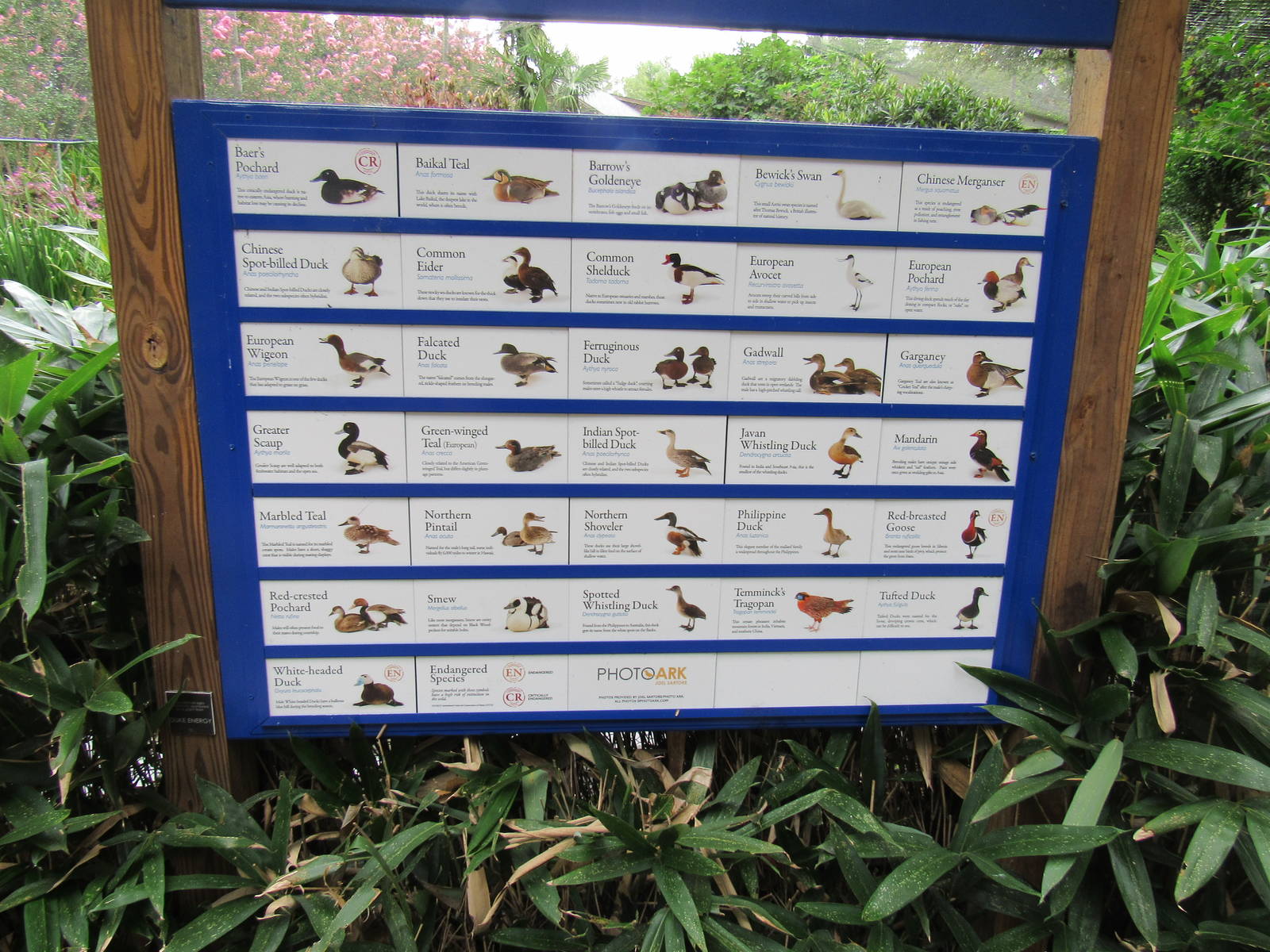 Sylvan Heights Bird Park- Eurasian Aviary Species