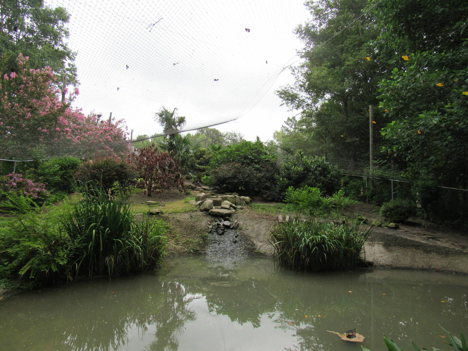 Sylvan Heights Bird Park- Eurasian Aviary