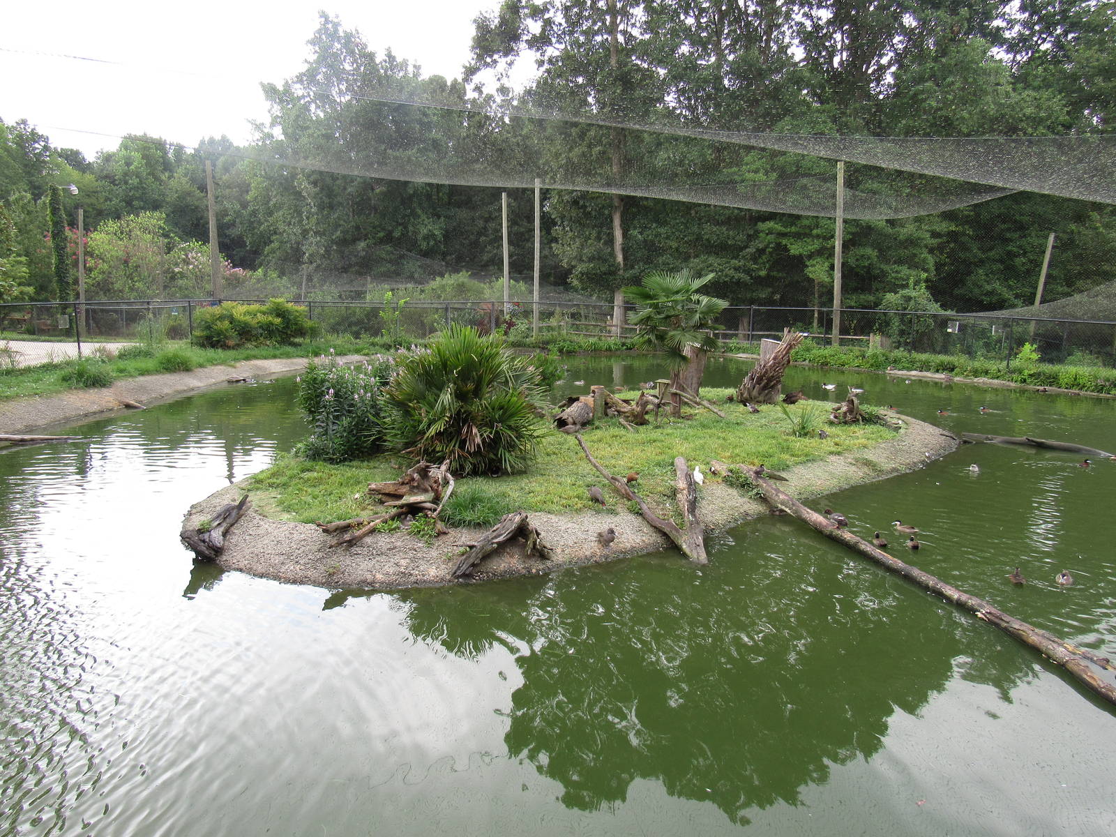 Sylvan Heights Bird Park- Multinational Aviary Overview