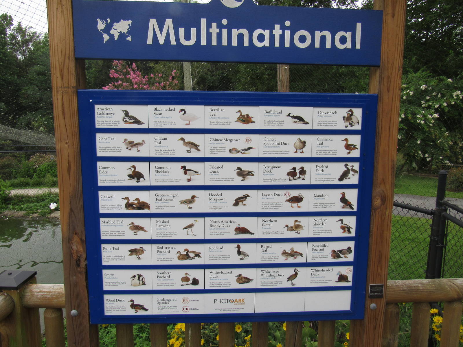 Sylvan Heights Bird Park- Multinational Aviary Species List