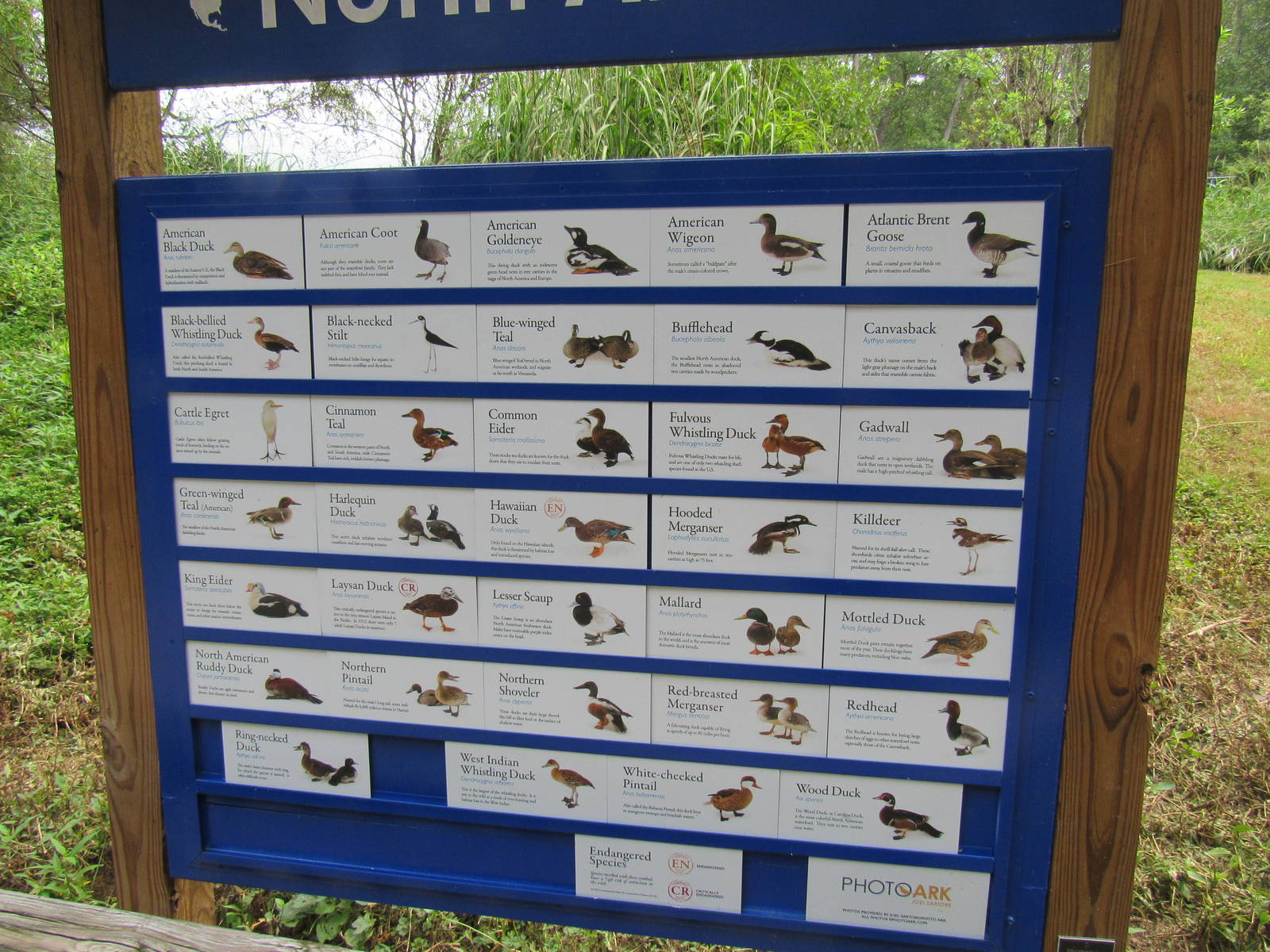 Sylvan Heights Bird Park- North American Aviary Species List