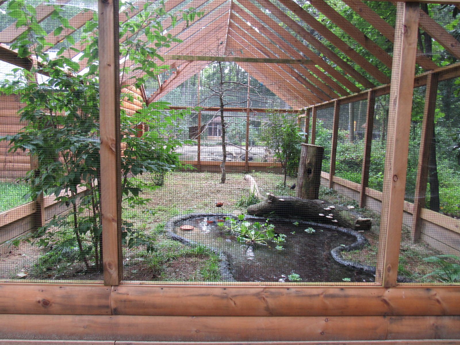 Sylvan Heights Bird Park- Small African Aviary