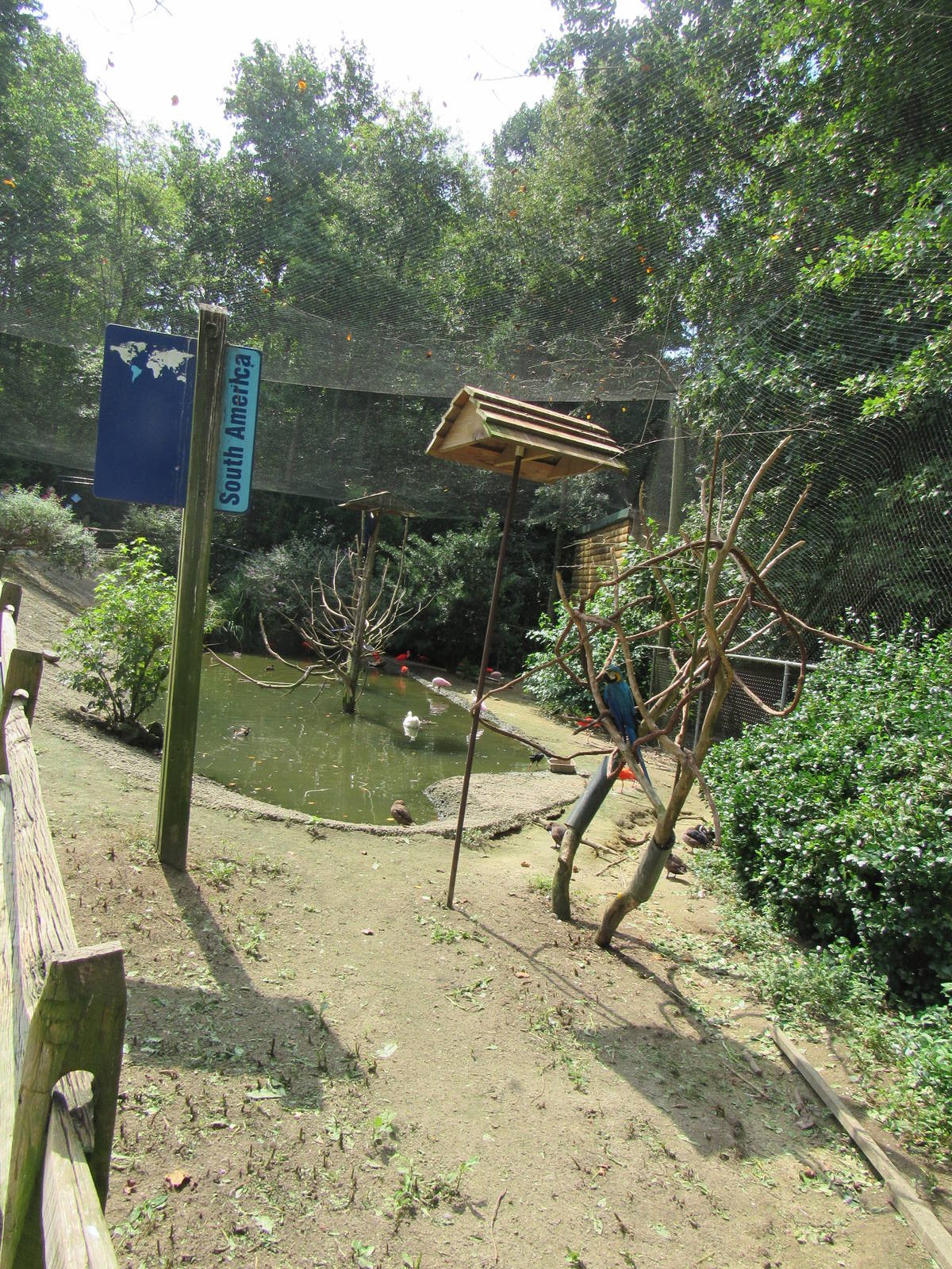 Sylvan Heights Bird Park- South American Aviary Overview 1/2