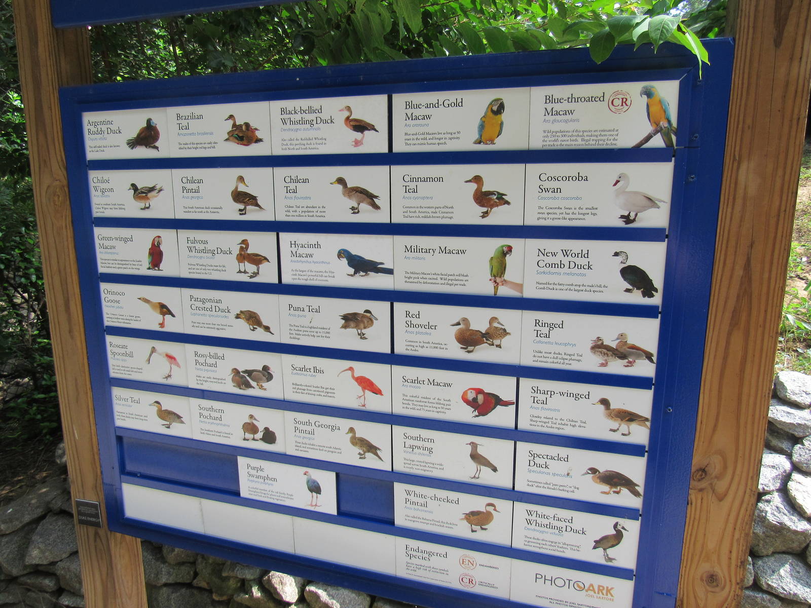 Sylvan Heights Bird Park- South American Aviary Species List
