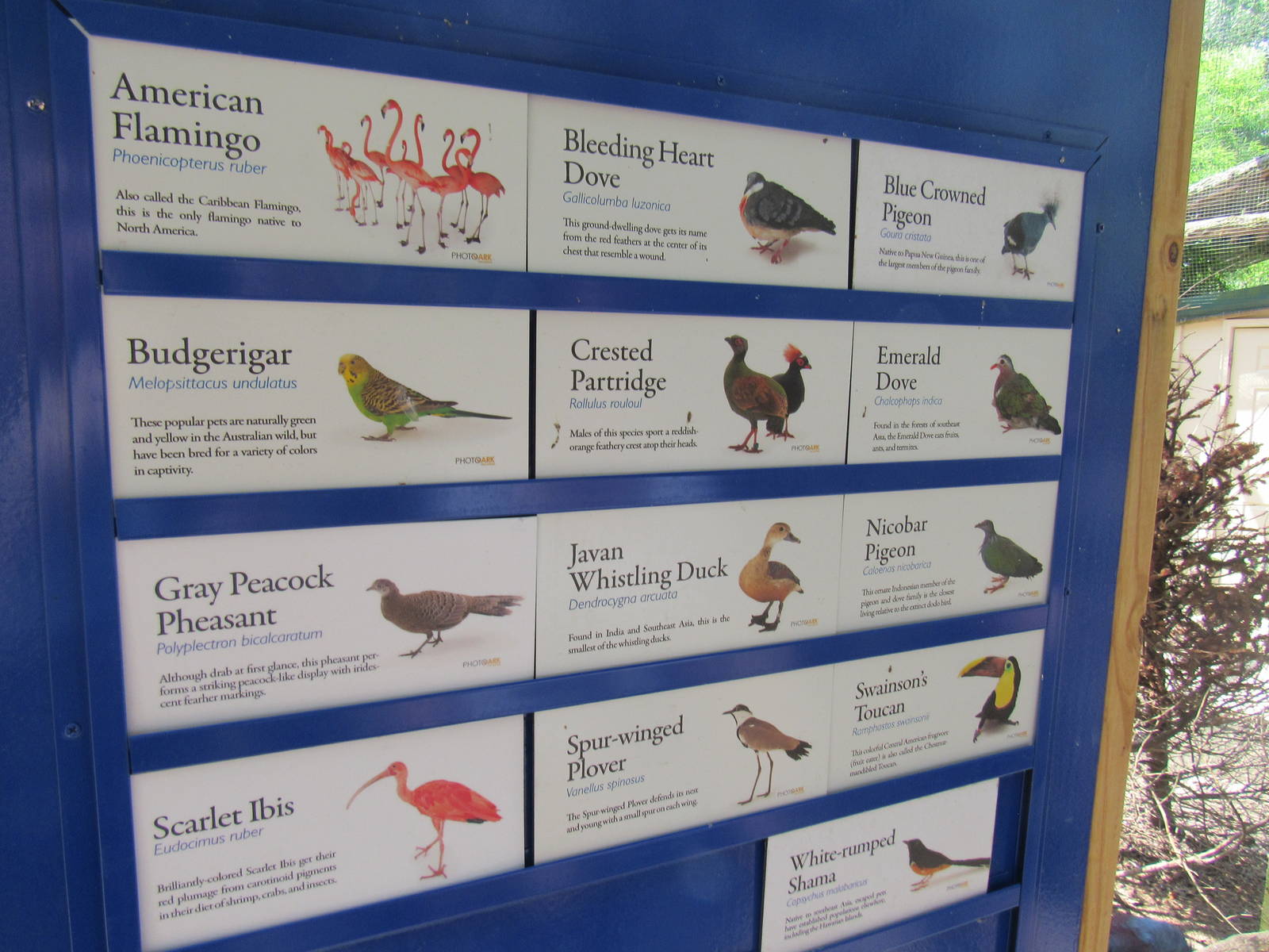 Sylvan Heights Bird Park- The Landing Zone- Species List