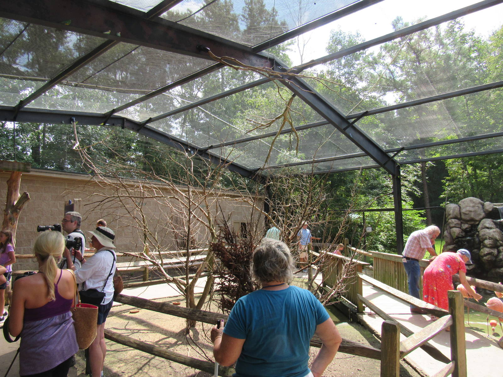 Sylvan Heights Bird Park- The Landing Zone