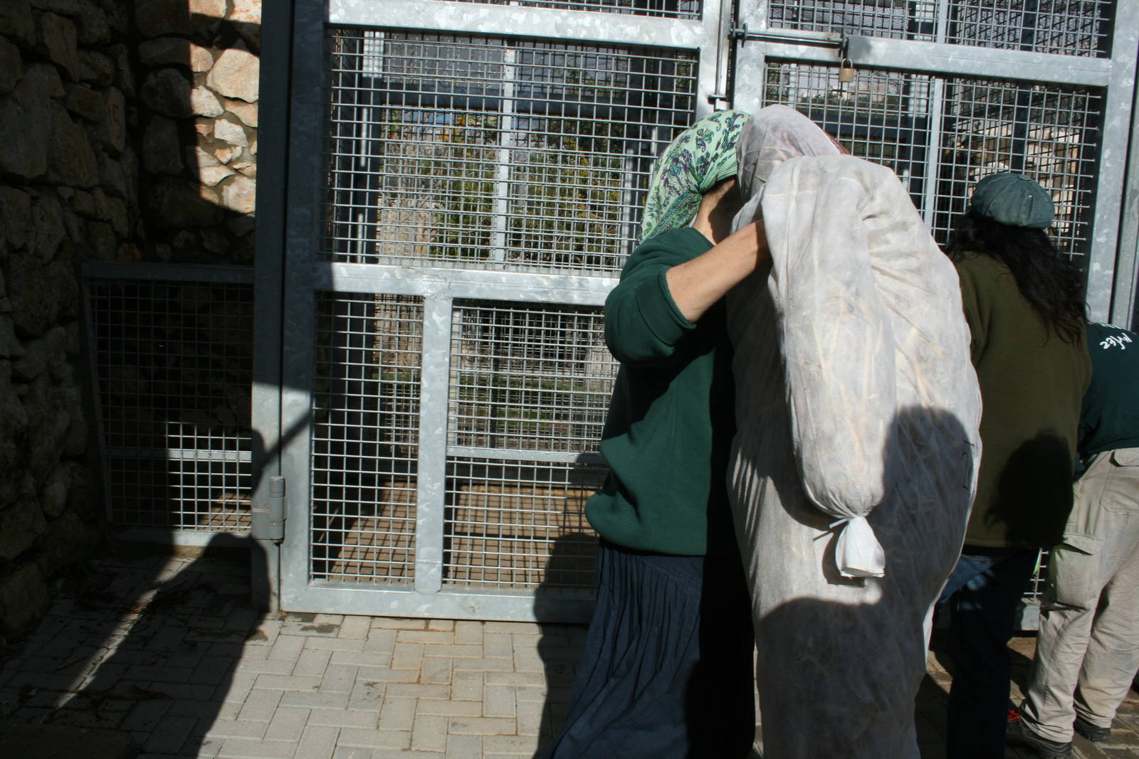 sylvester 1 year birthday