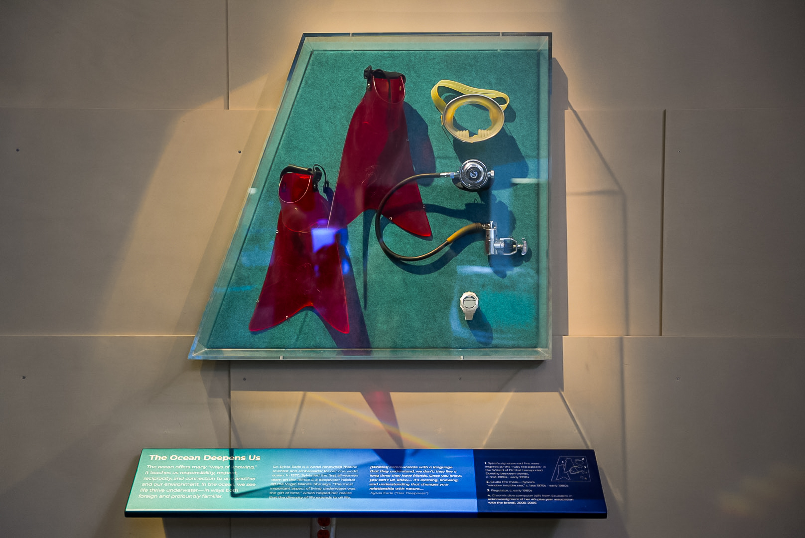 Sylvia Earle's Ruby Red Flippers