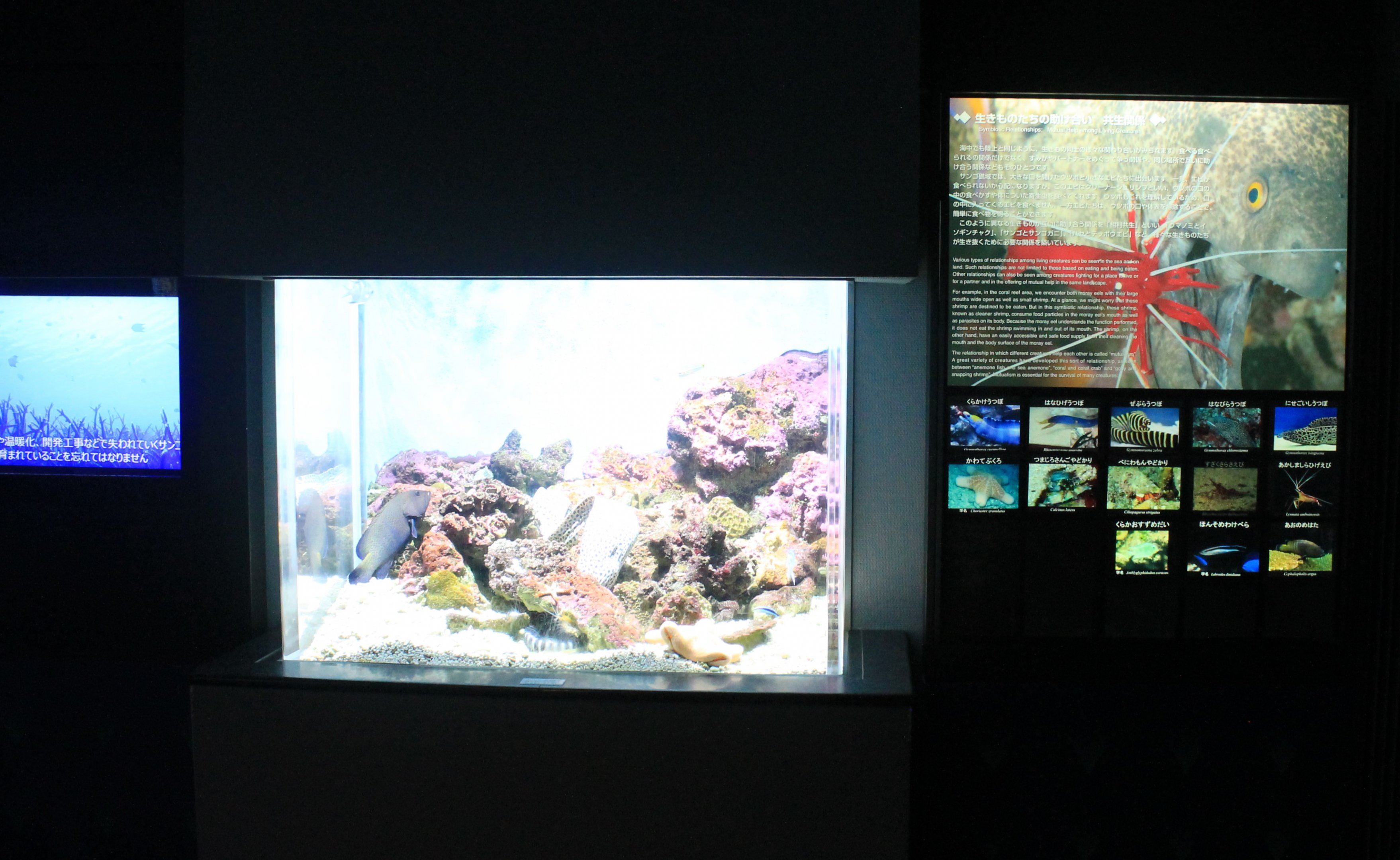 Symbiotic-cleaning tank