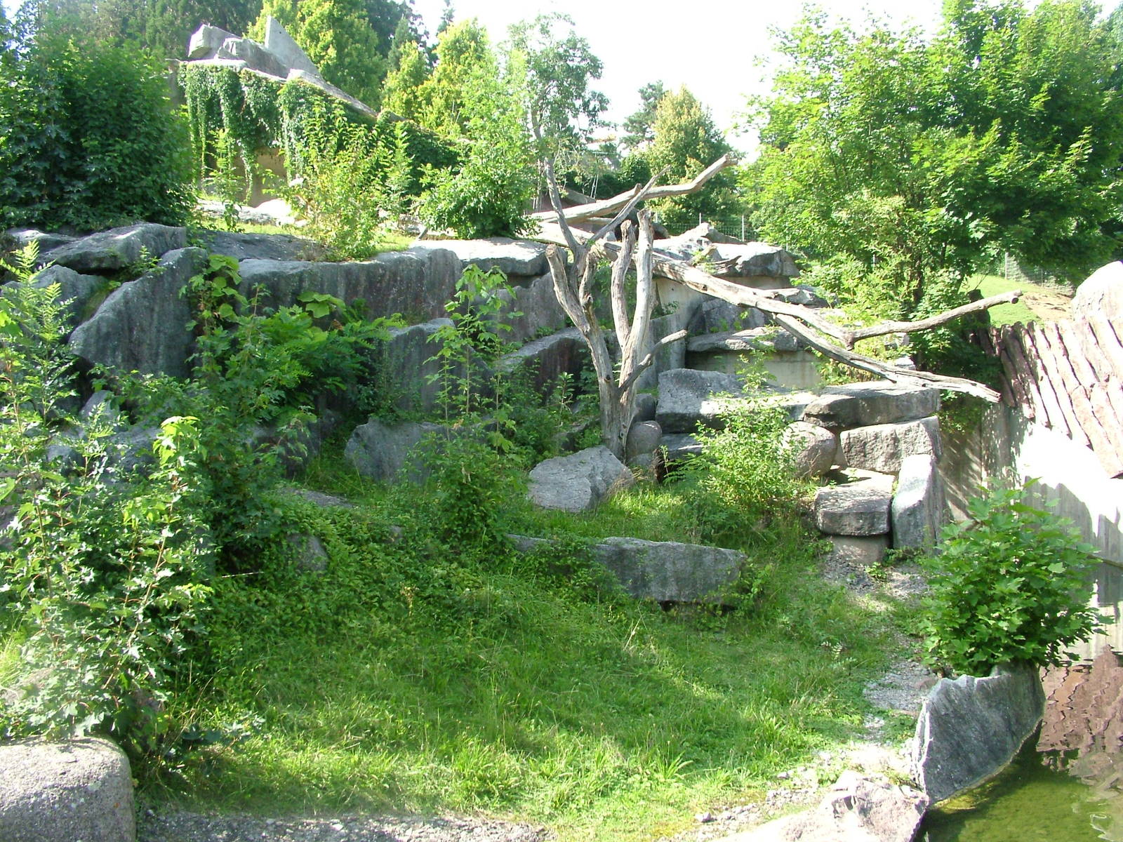 Syrian Bear Exhibit at Wilhelma, Stuttgart 02/09/10
