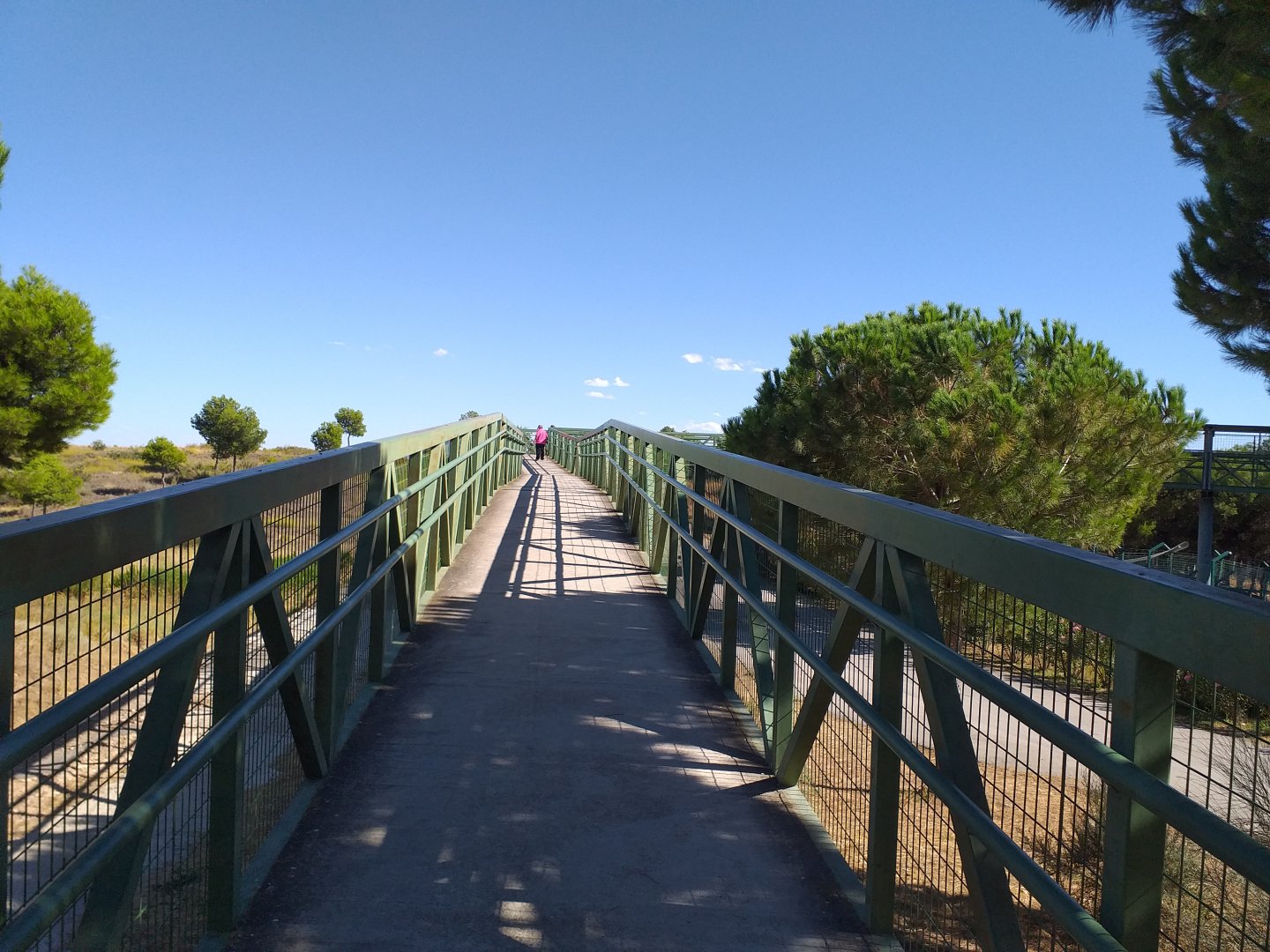 Syrian brown bear and Iberian wolf lookout -Sendaviva (2020)