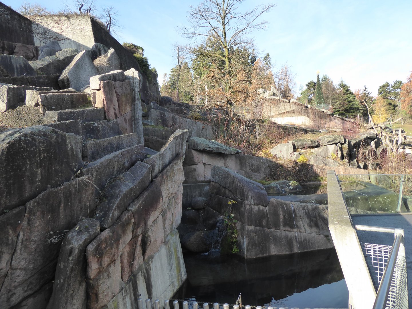 Syrian brown bear enclosure 011218