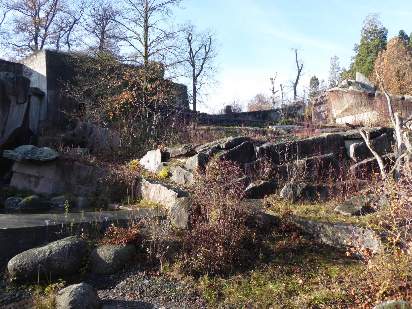 Syrian brown bear enclosure 011218
