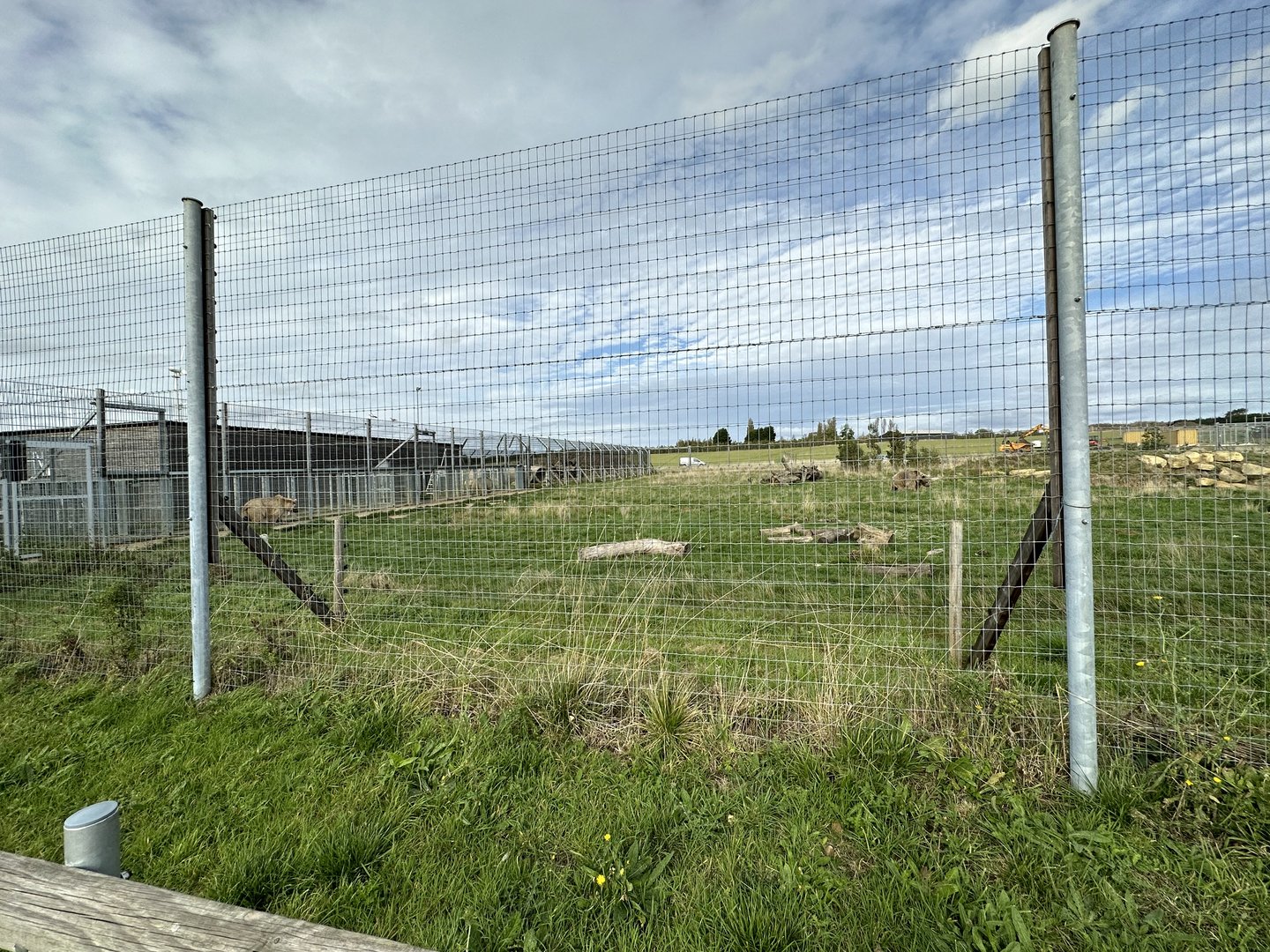 Syrian Brown Bear Enclosure at Hamerton Zoo Park (October 2023)