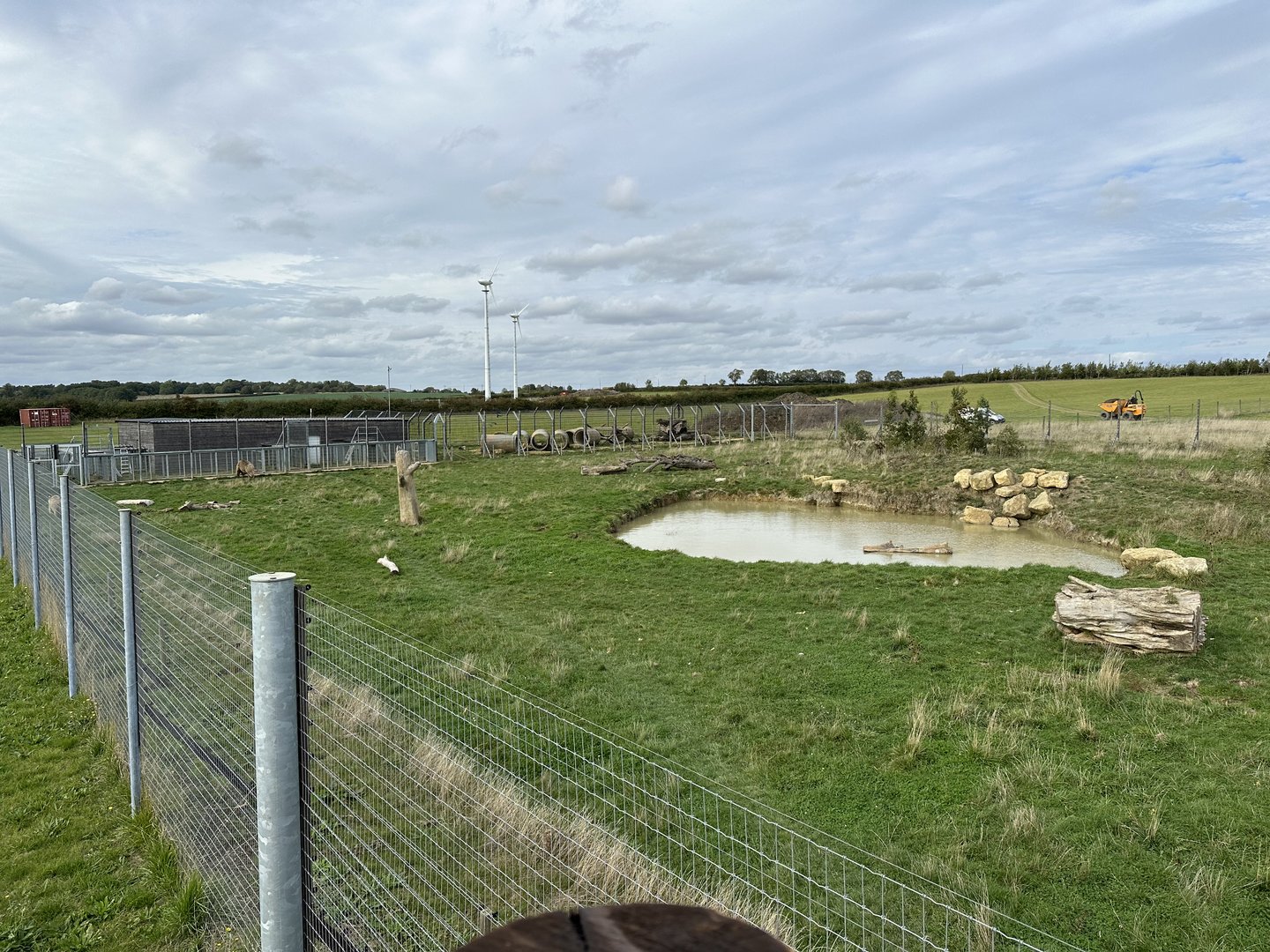 Syrian Brown Bear Enclosure at Hamerton Zoo Park (October 2023)