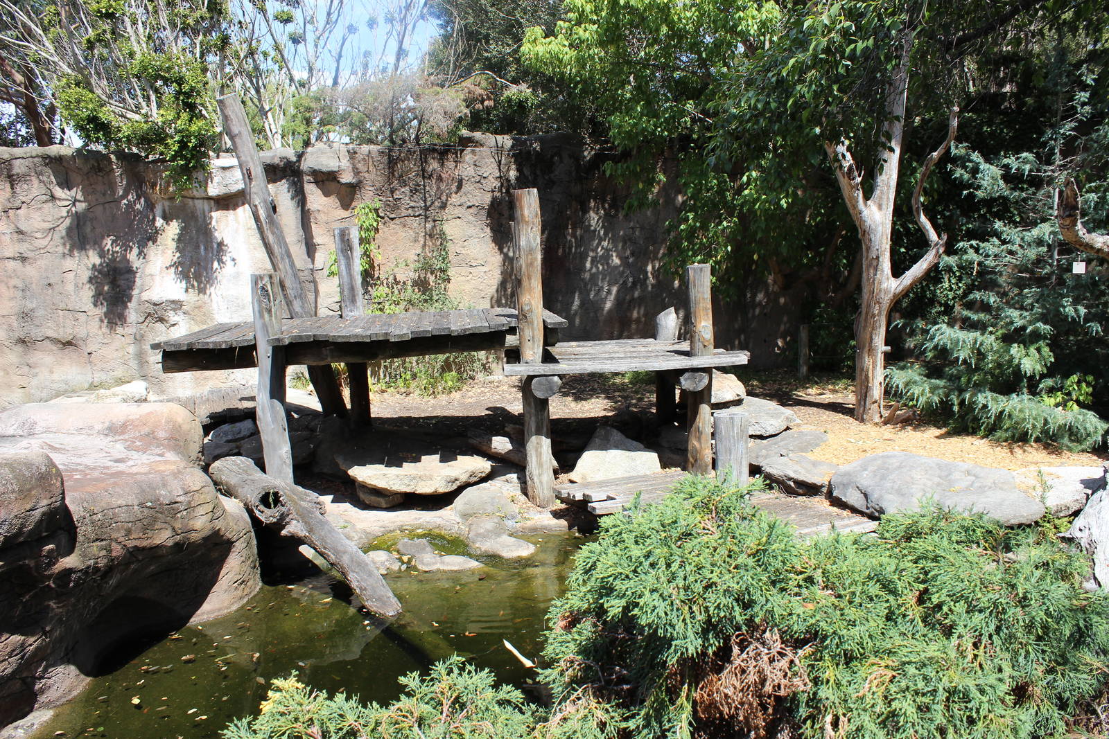 Syrian Brown Bear Enclosure