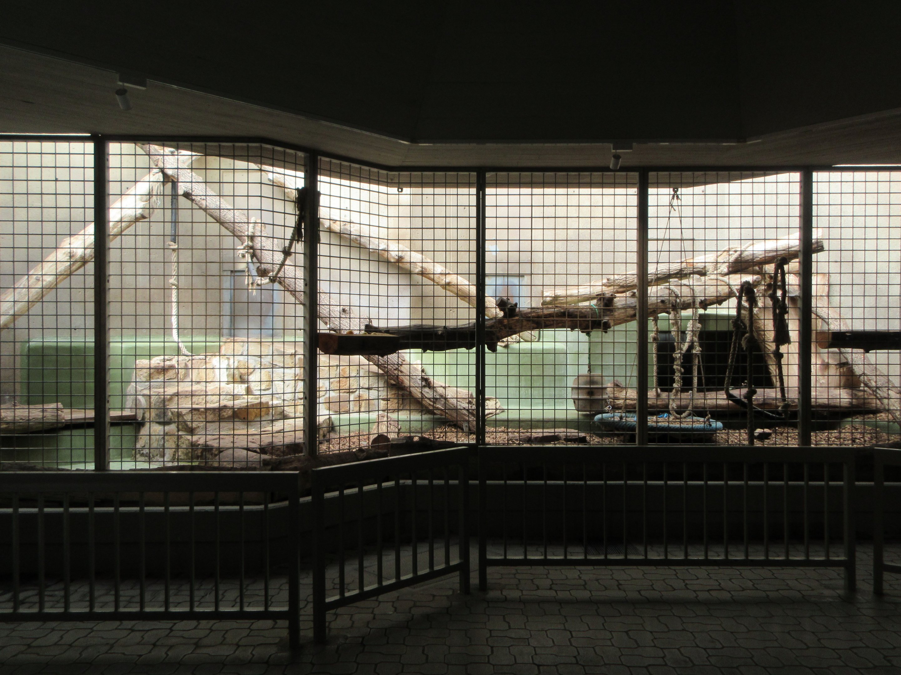 Syrian Brown Bear Exhibit - indoor viewing