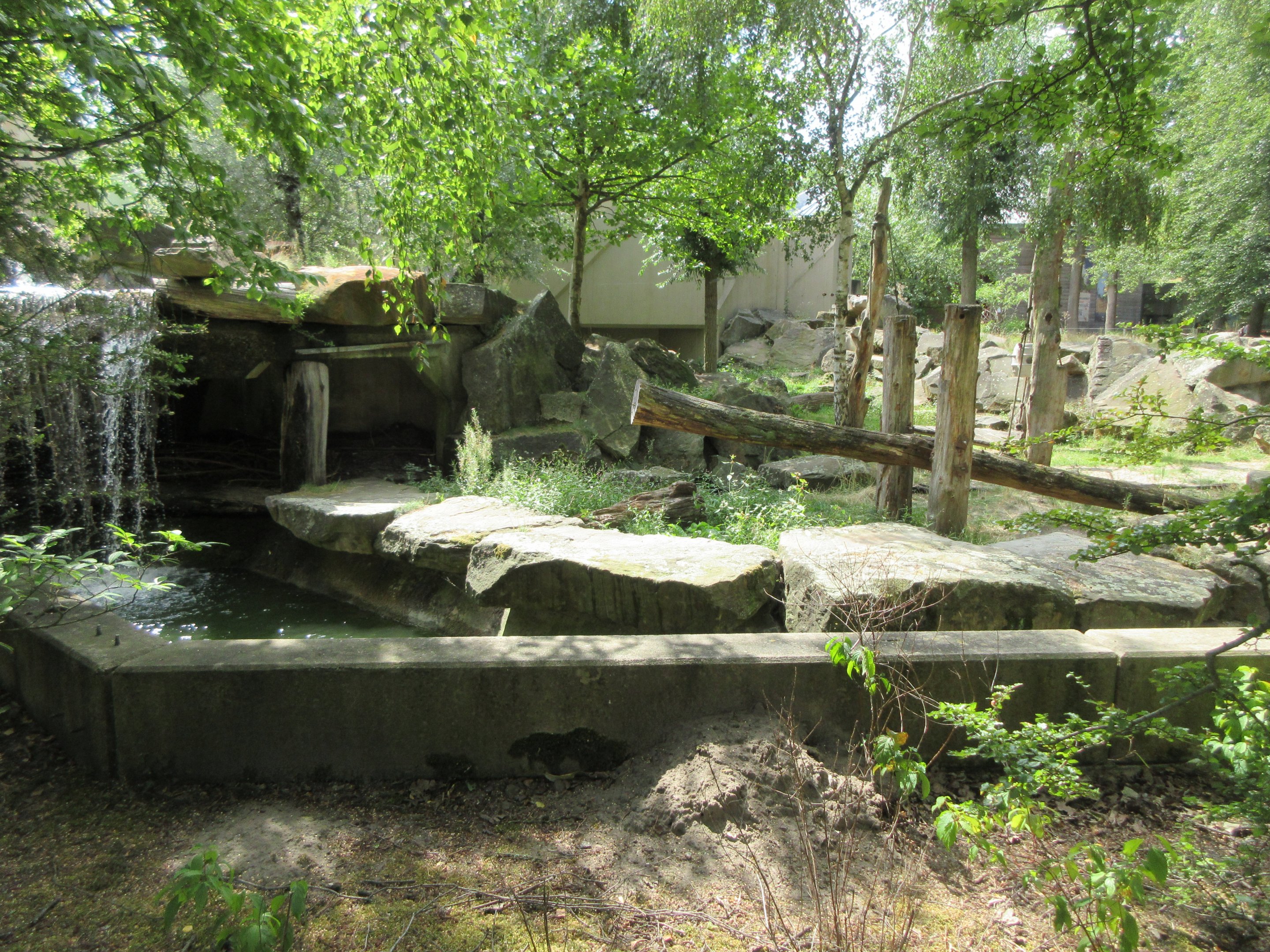 Syrian Brown Bear Exhibit