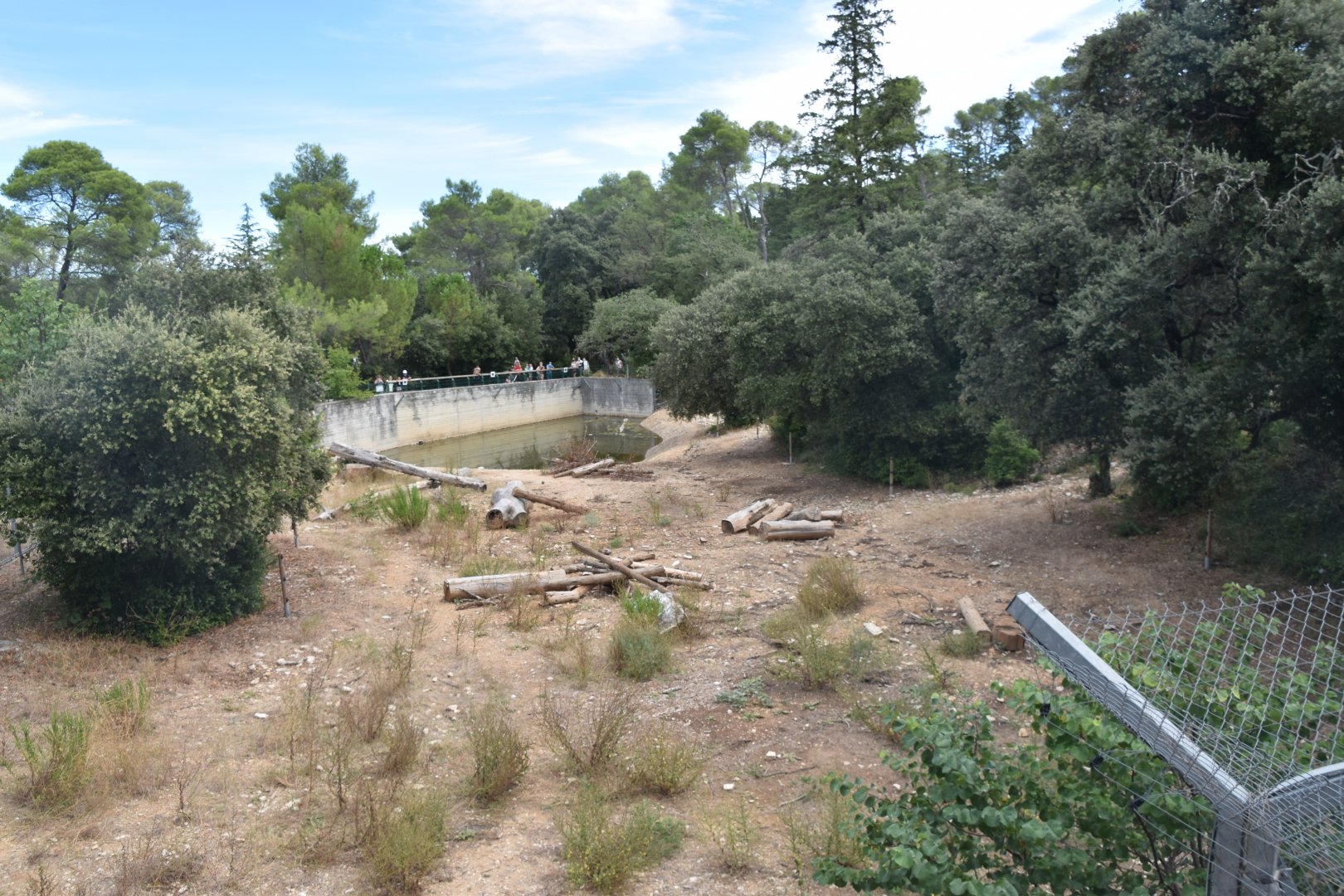 Syrian brown bear exhibit