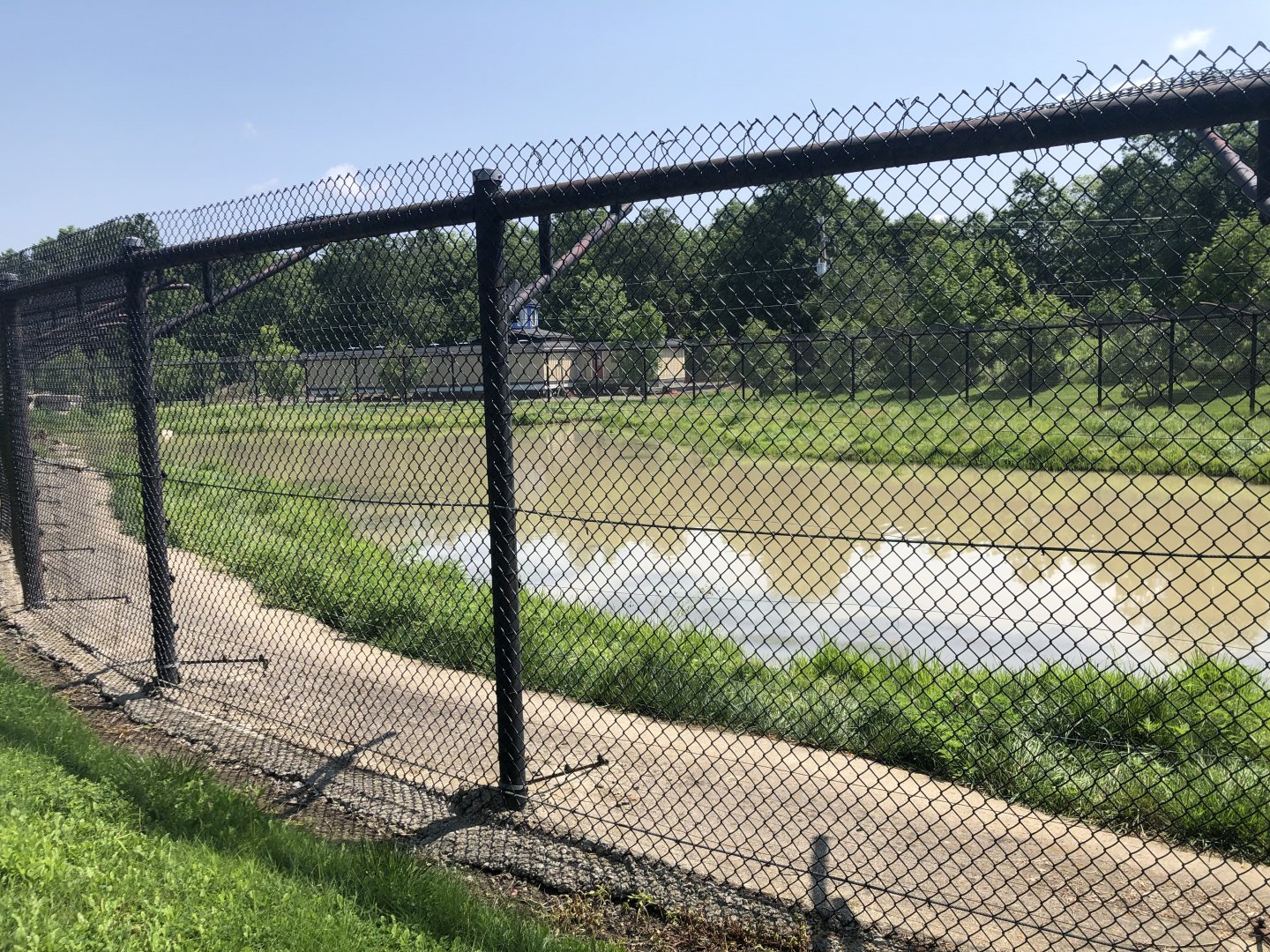 Syrian Brown Bear Exhibit