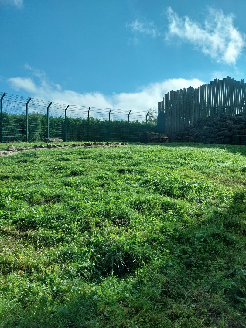 Syrian brown bear extension area