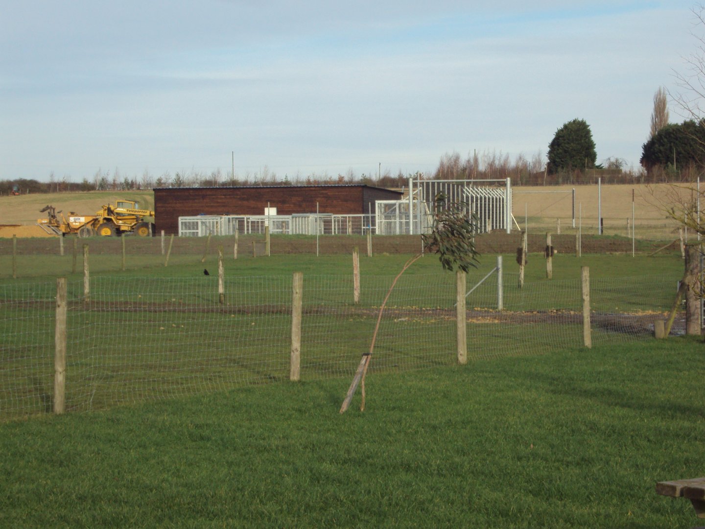 Syrian Brown Bear House under construction 22/12/2019