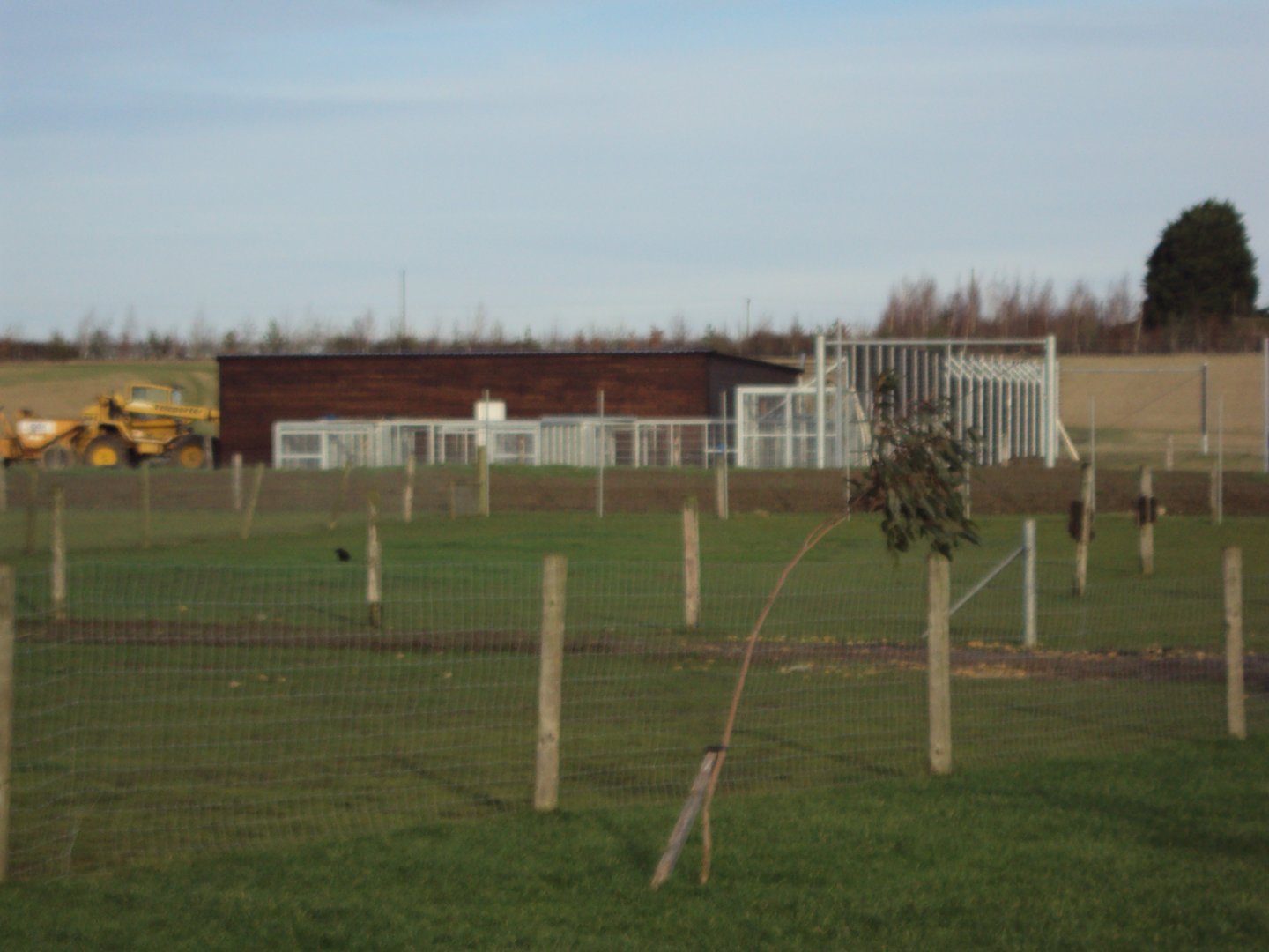Syrian Brown Bear House under construction 22/12/2019