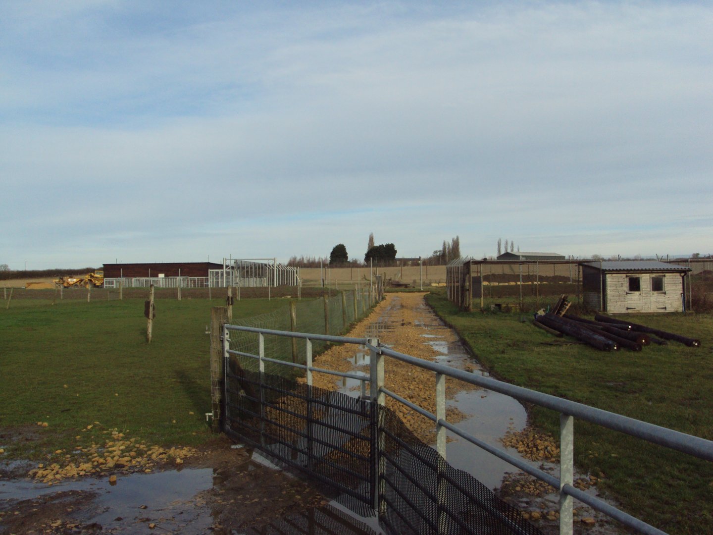 Syrian Brown Bear House under construction 22/12/2019