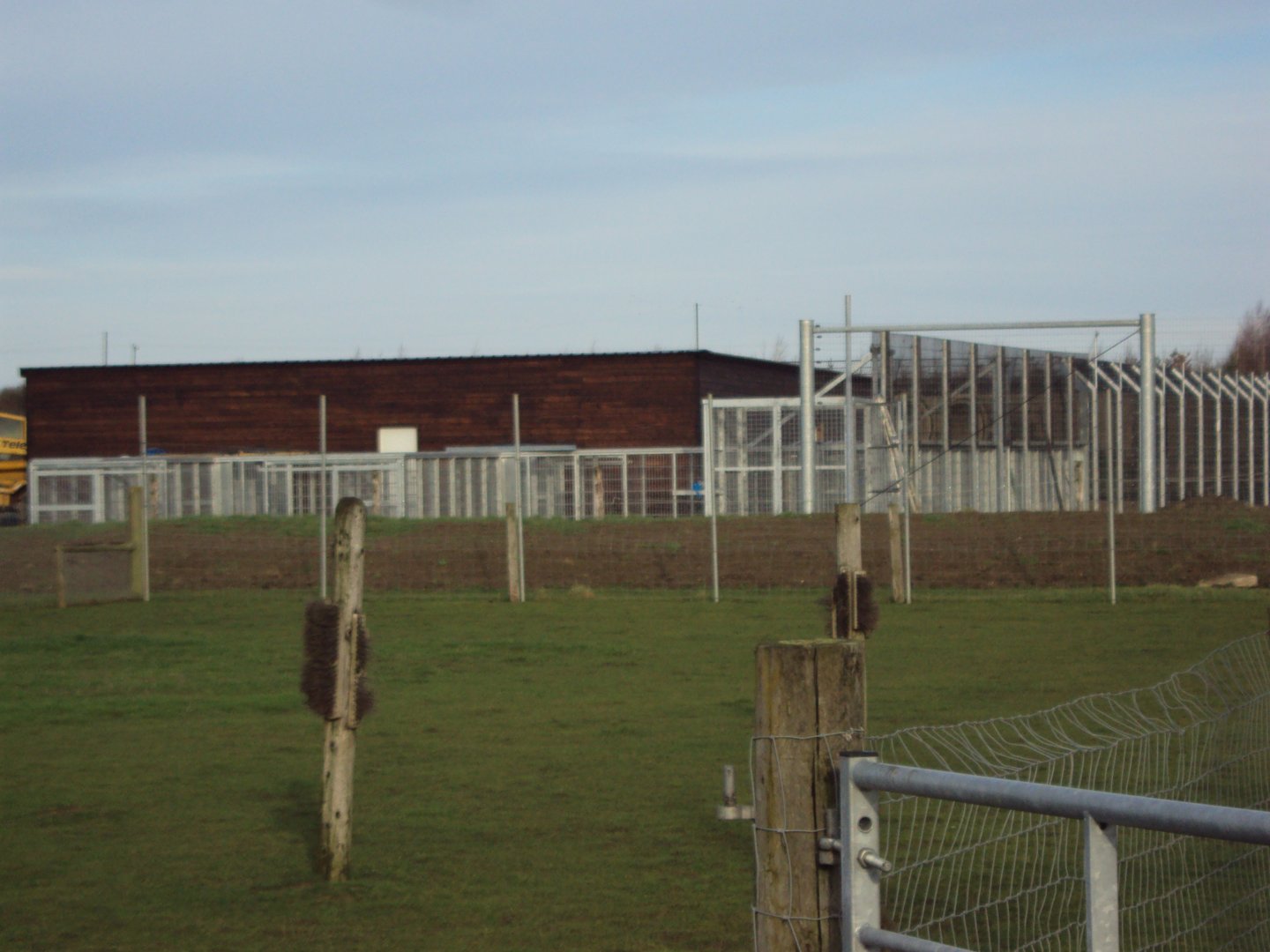 Syrian Brown Bear House under construction 22/12/2019