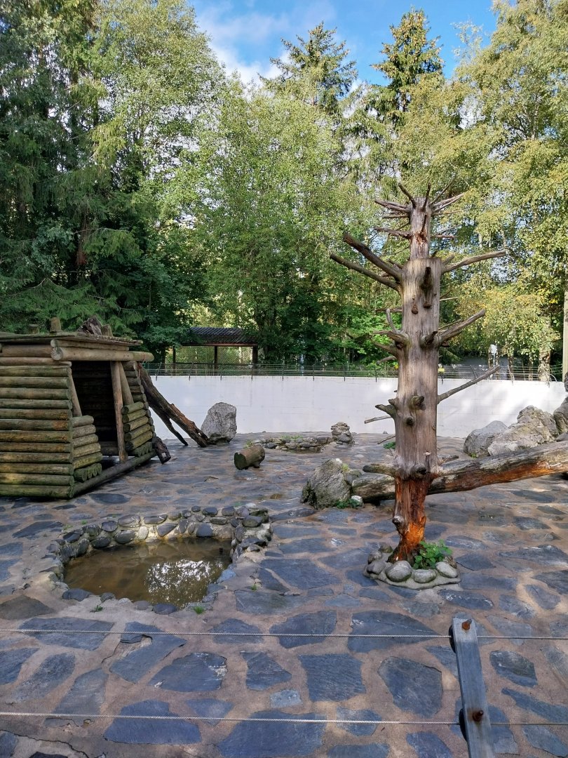 Syrian brown bear pit