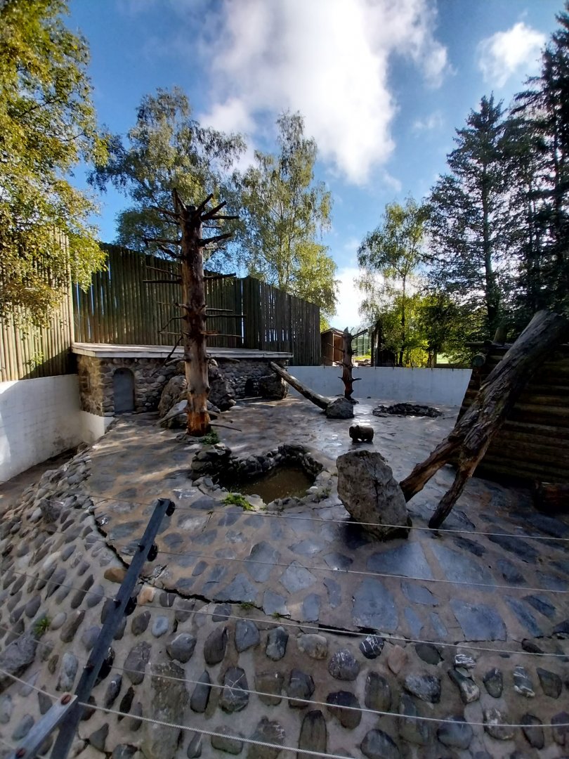 Syrian brown bear pit