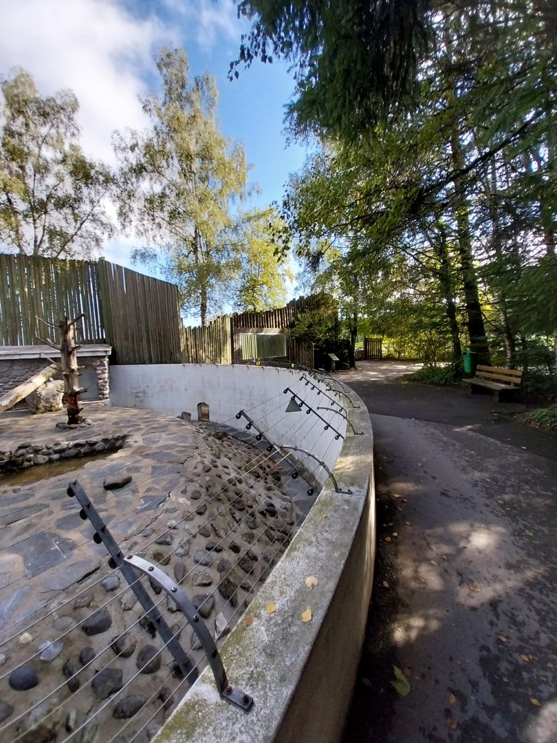 Syrian brown bear pit