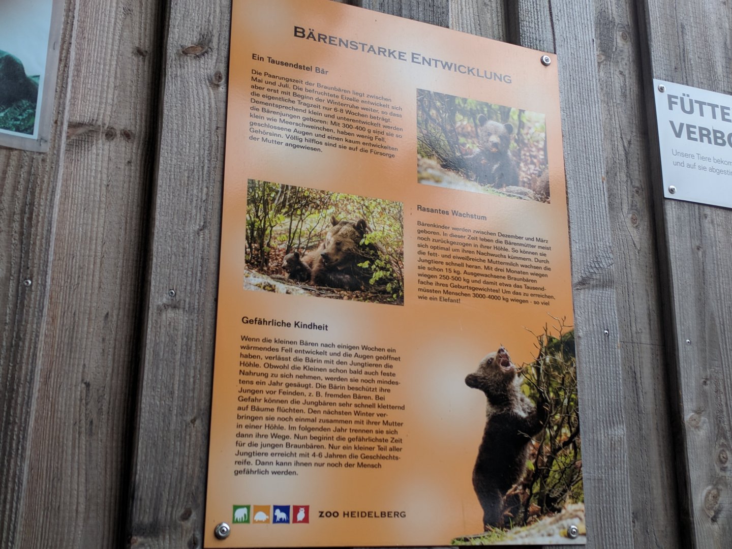 Syrian Brown Bear Signage