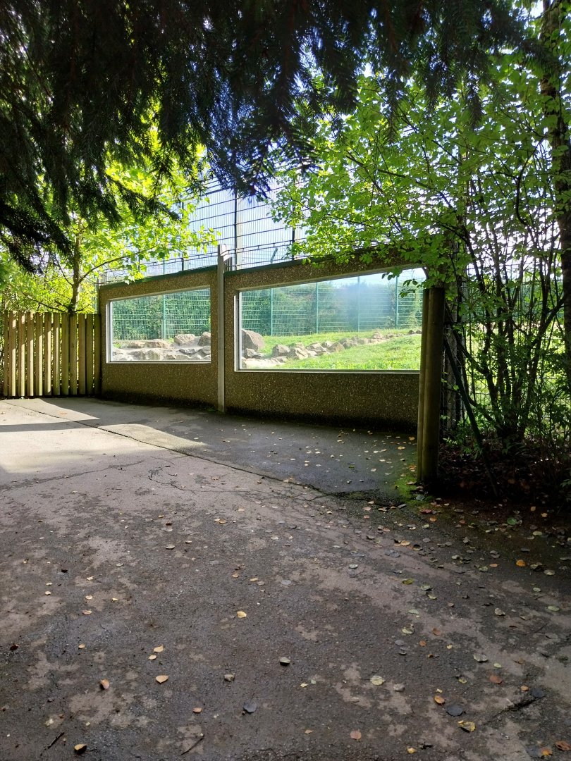 Syrian brown bear viewing point